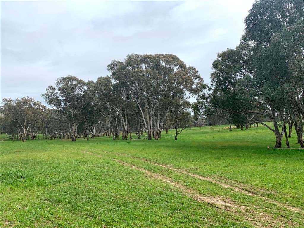 0 Reka Road Gadara Via Tumut, Tumut NSW 2720, Tumut - Image 1