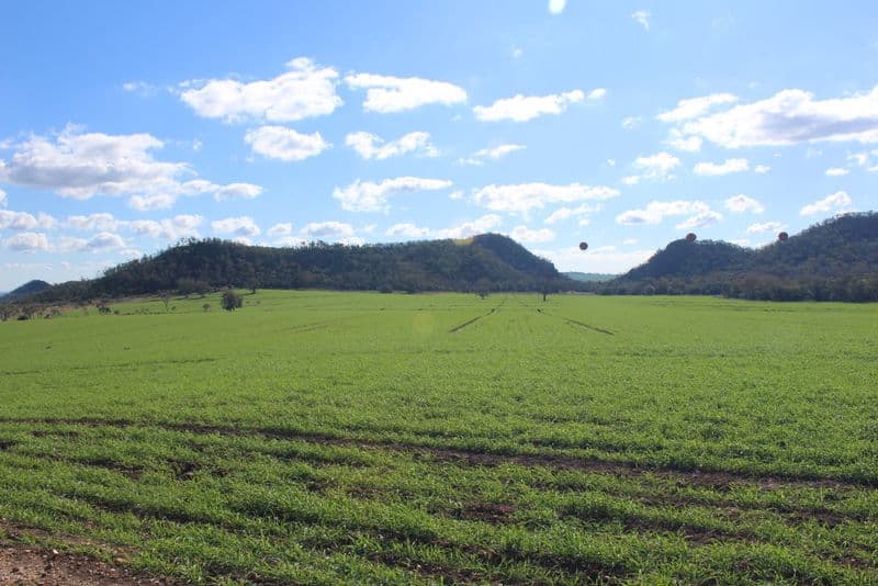 " Wilga Valley", Edgeroi NSW 2390, Edgeroi - Thumbnail 3