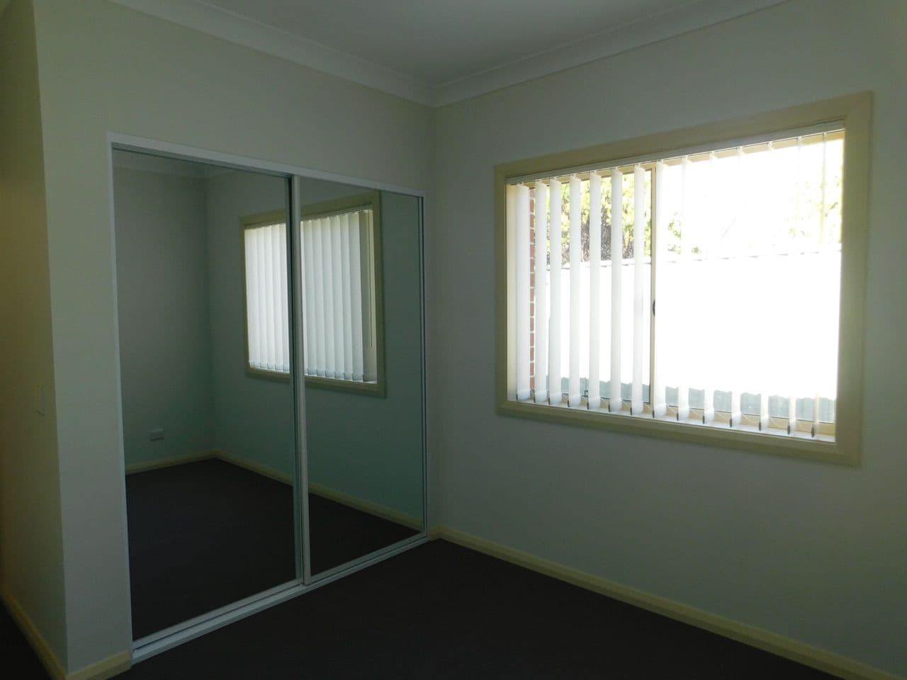 6A Nettleton Avenue, Riverwood NSW 2210, Riverwood - Thumbnail 6