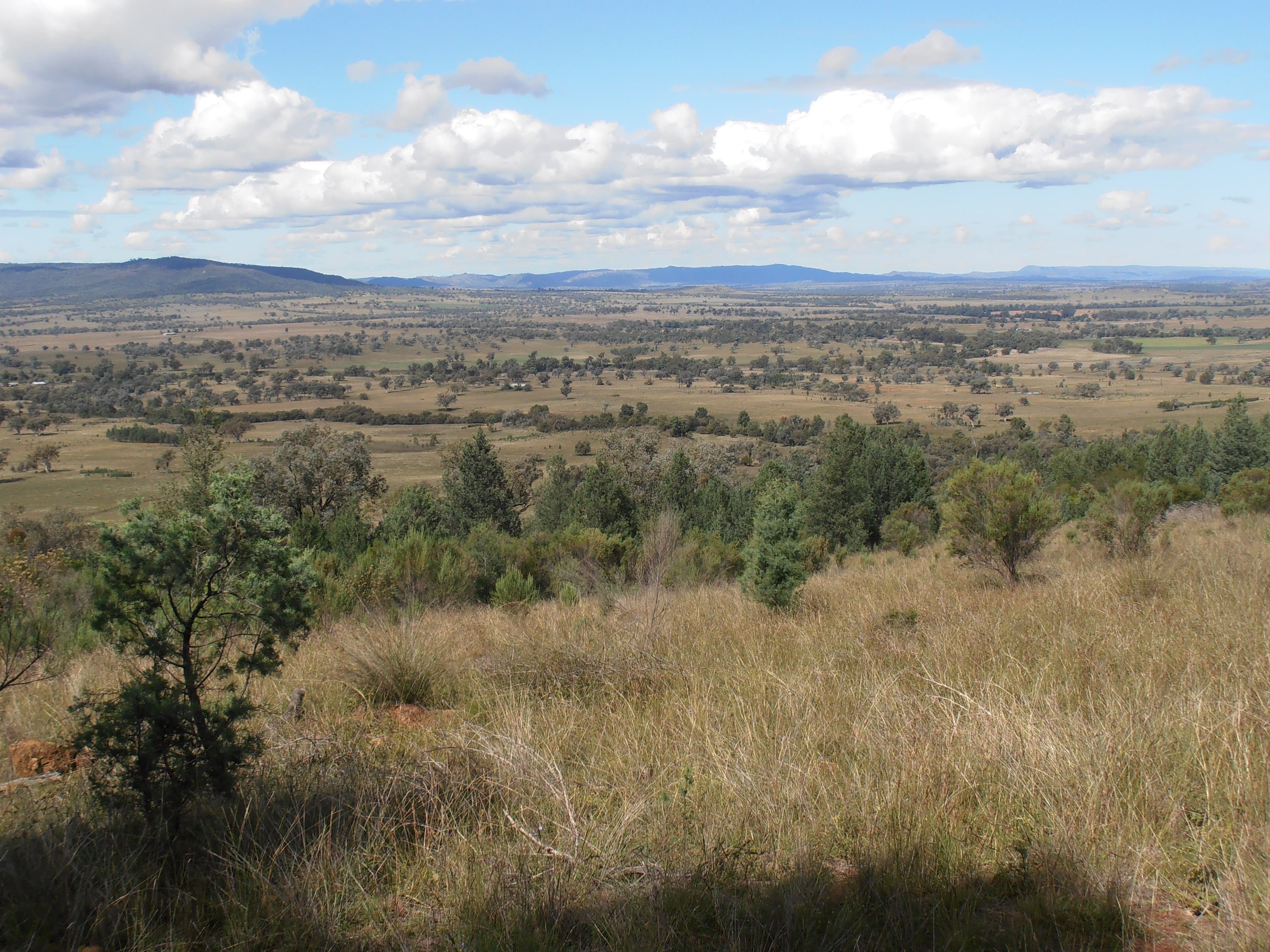 " Box Hill", BINGARA NSW 2404, Bingara - Thumbnail 6