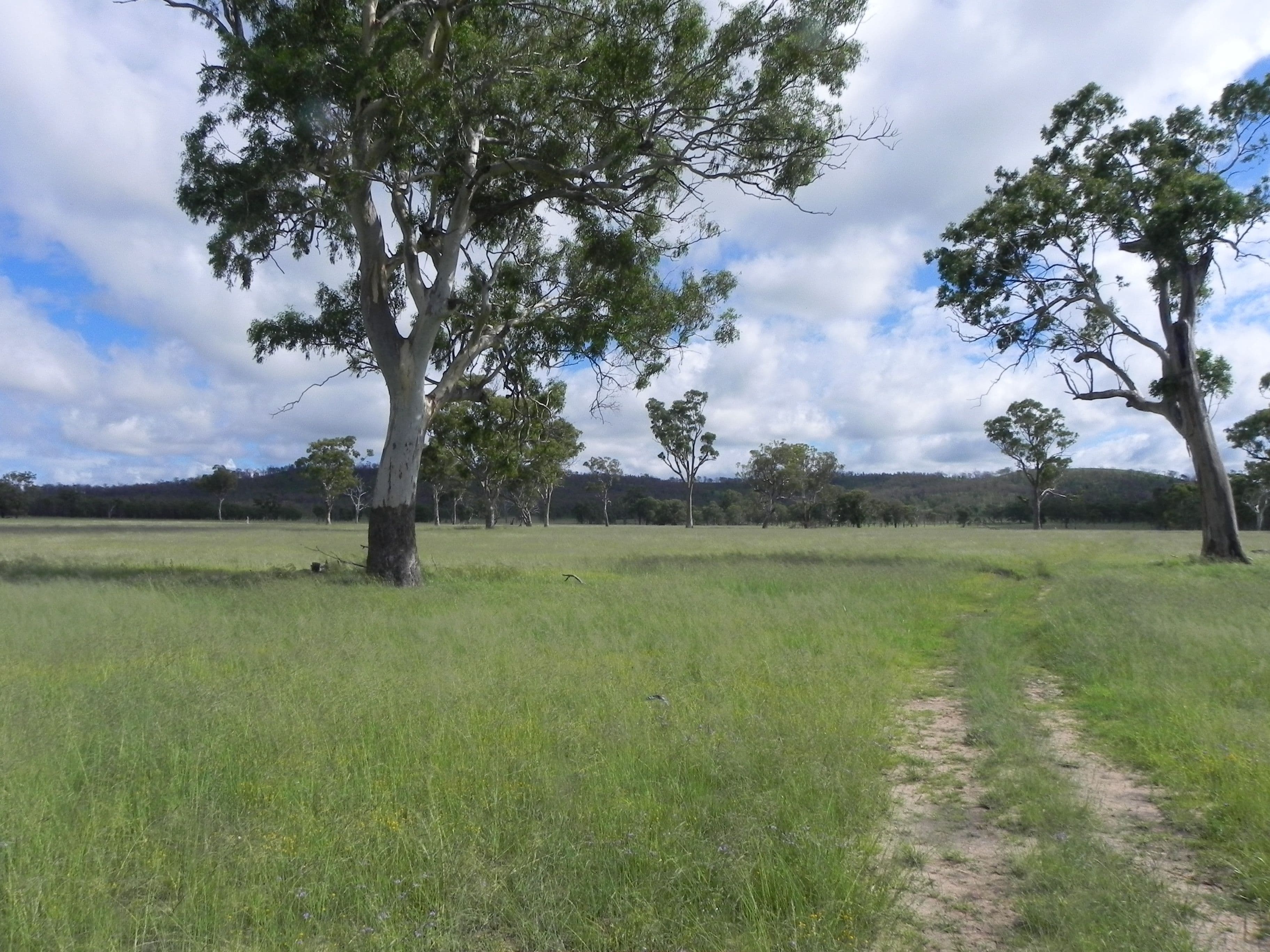 0 Cunningham Highway, Greymare QLD 4370, Greymare - Thumbnail 3