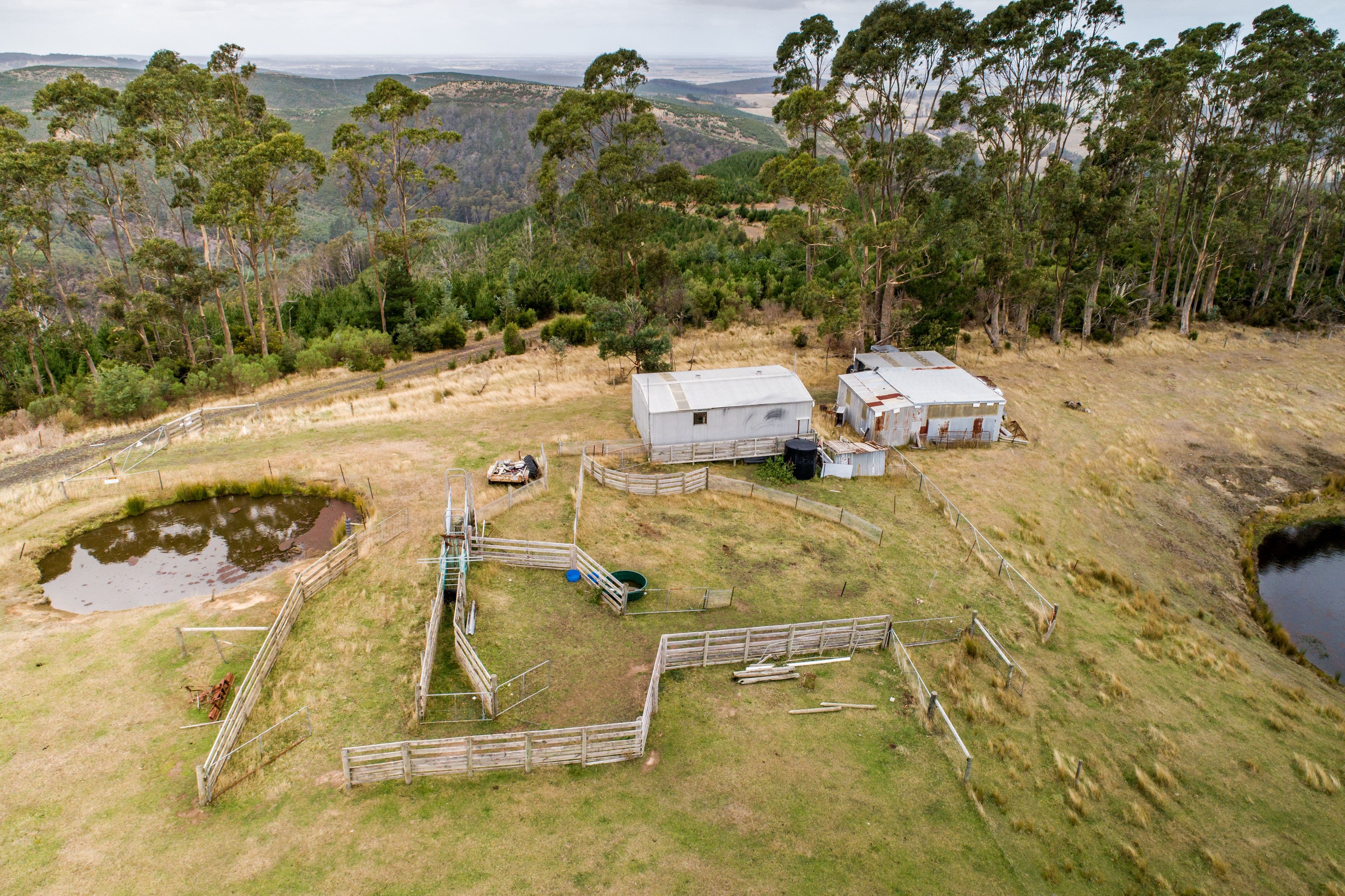 Lot 1 Turpins Road, Madalya VIC 3971, Madalya - Thumbnail 4