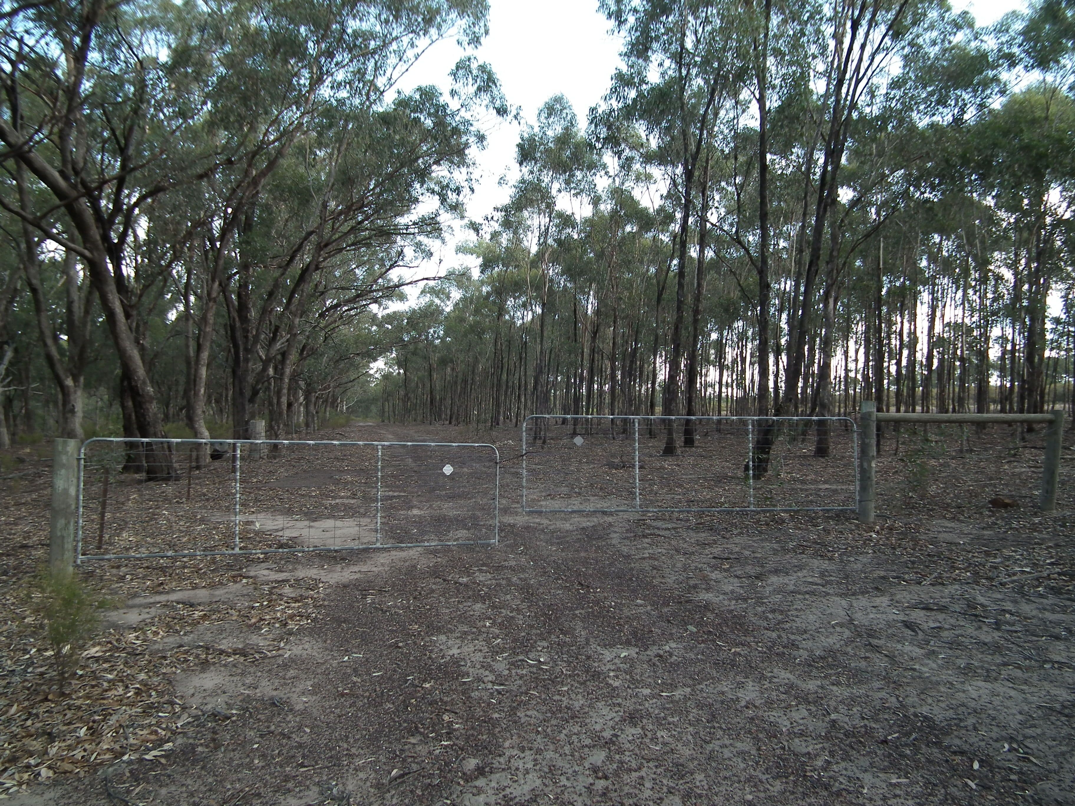 419 Buffalo Swamp Road, Whroo VIC 3612, Whroo - Thumbnail 8