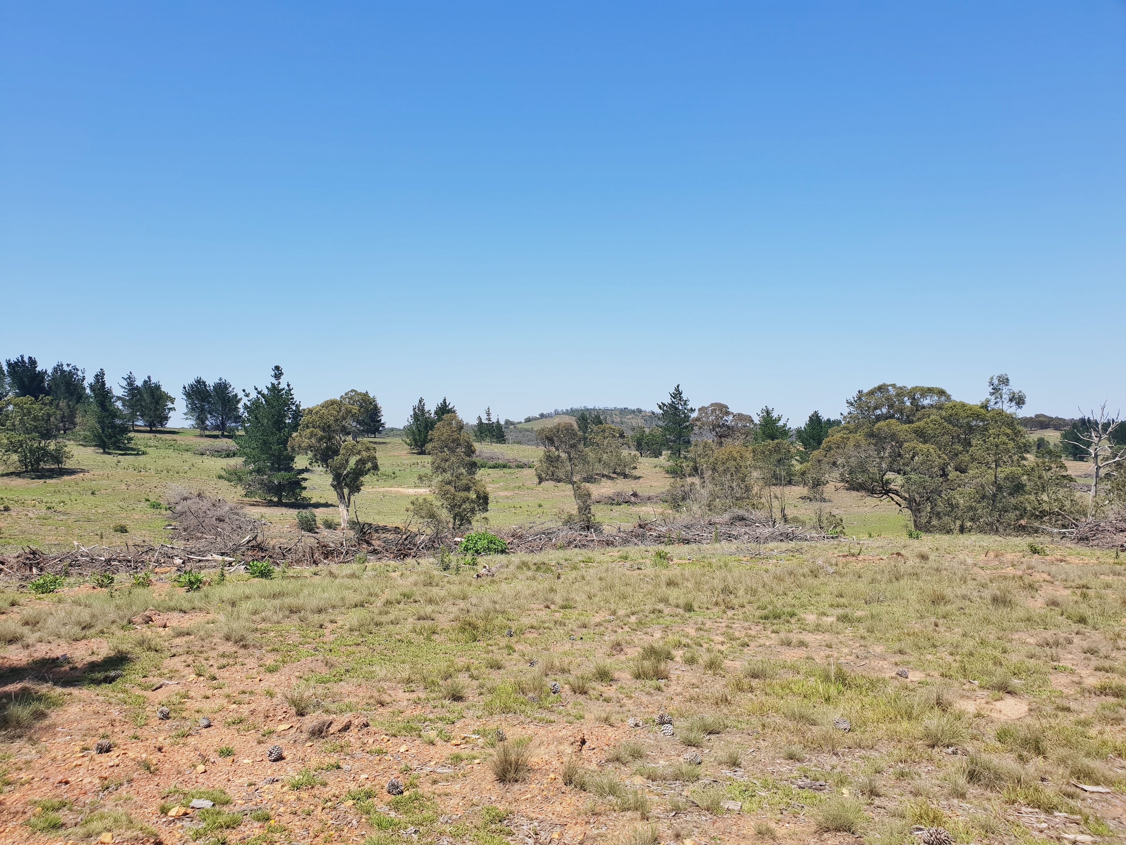 Lot 2 Mount Fairy Road, Mount Fairy NSW 2580, Mount Fairy - Thumbnail 5