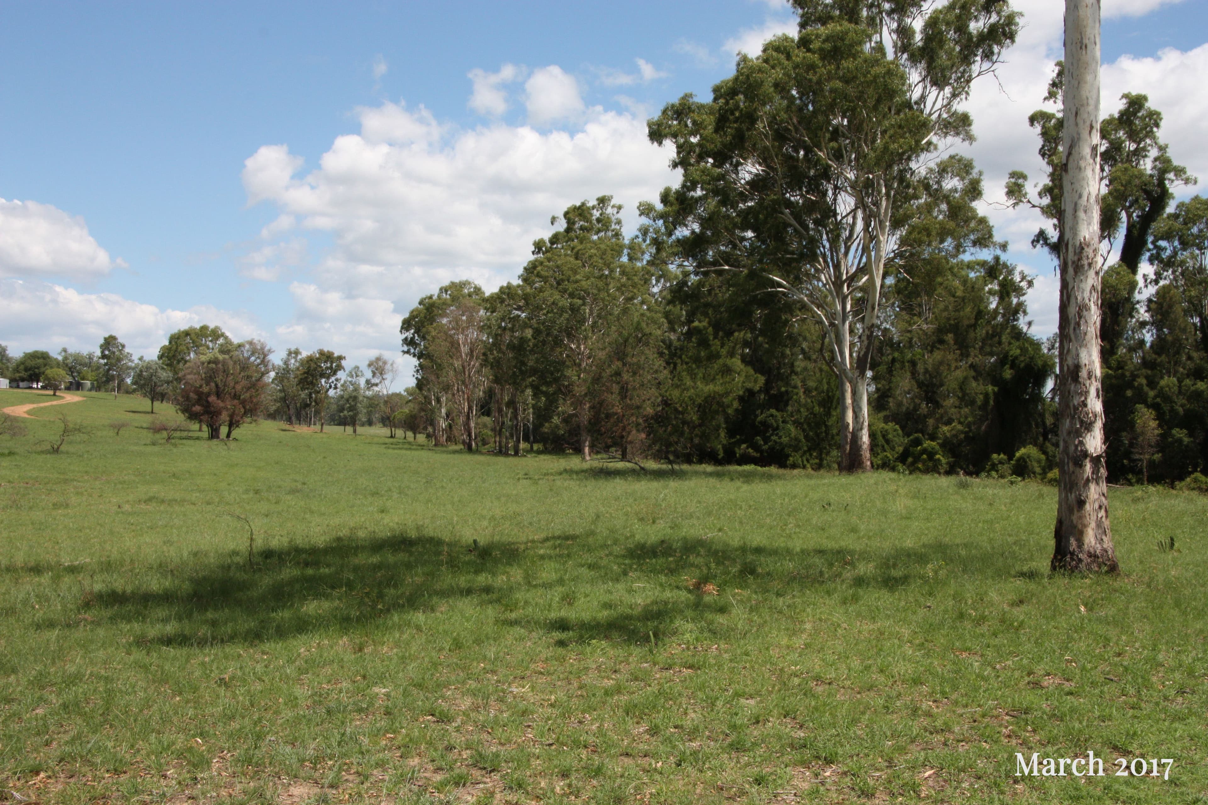 1421 Crowsdale Camboon Road, Prospect QLD 4715, Prospect - Image 1