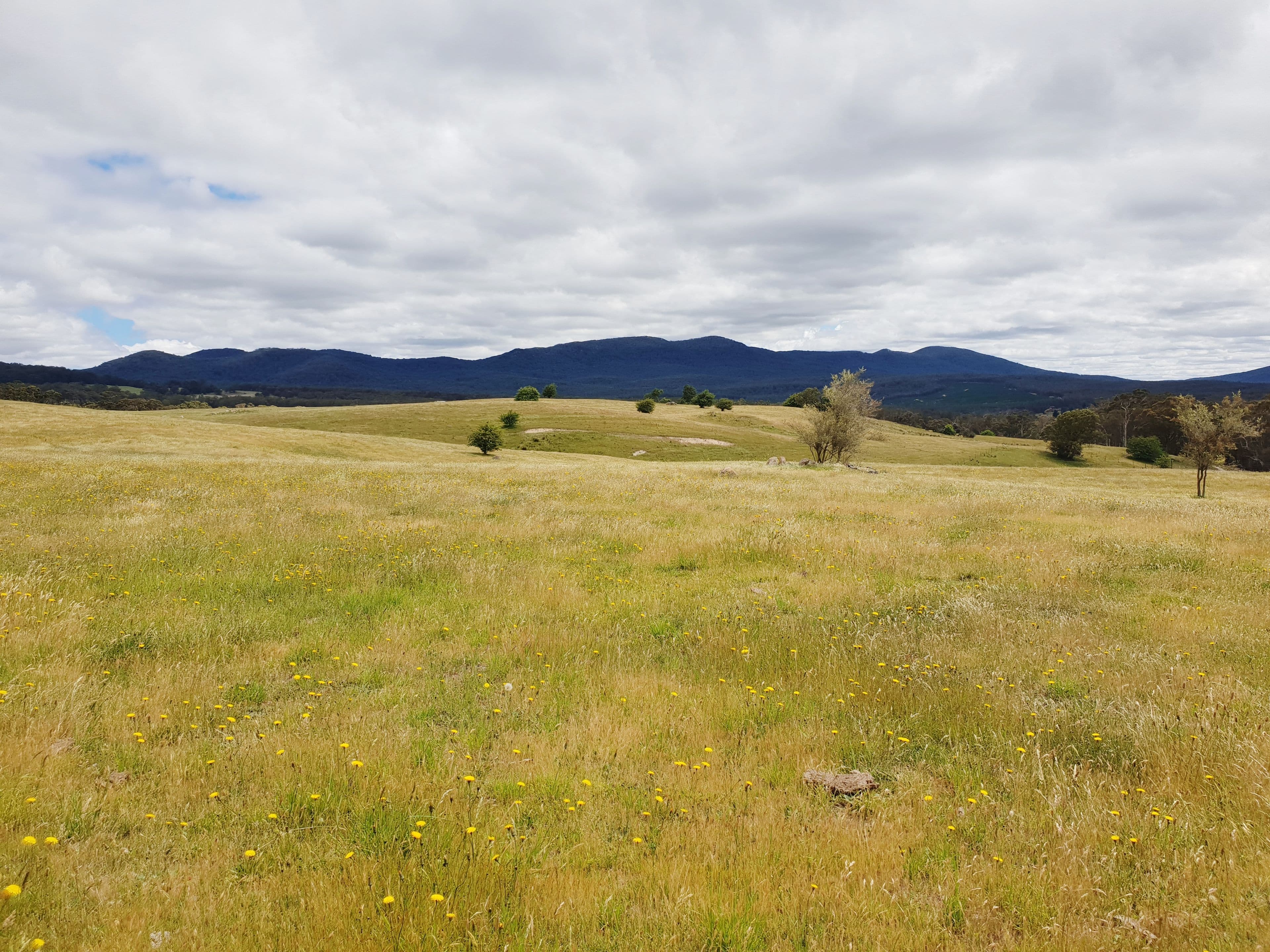 418 Parlour Creek Road, Braidwood NSW 2622, Braidwood - Thumbnail 5