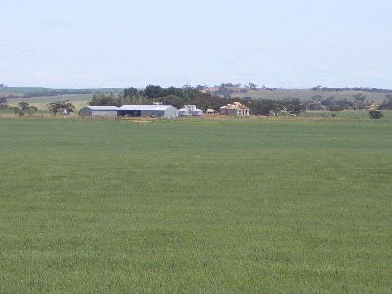 3803 Goondoloo Road, Halidon SA 5309, Halidon - Thumbnail 2