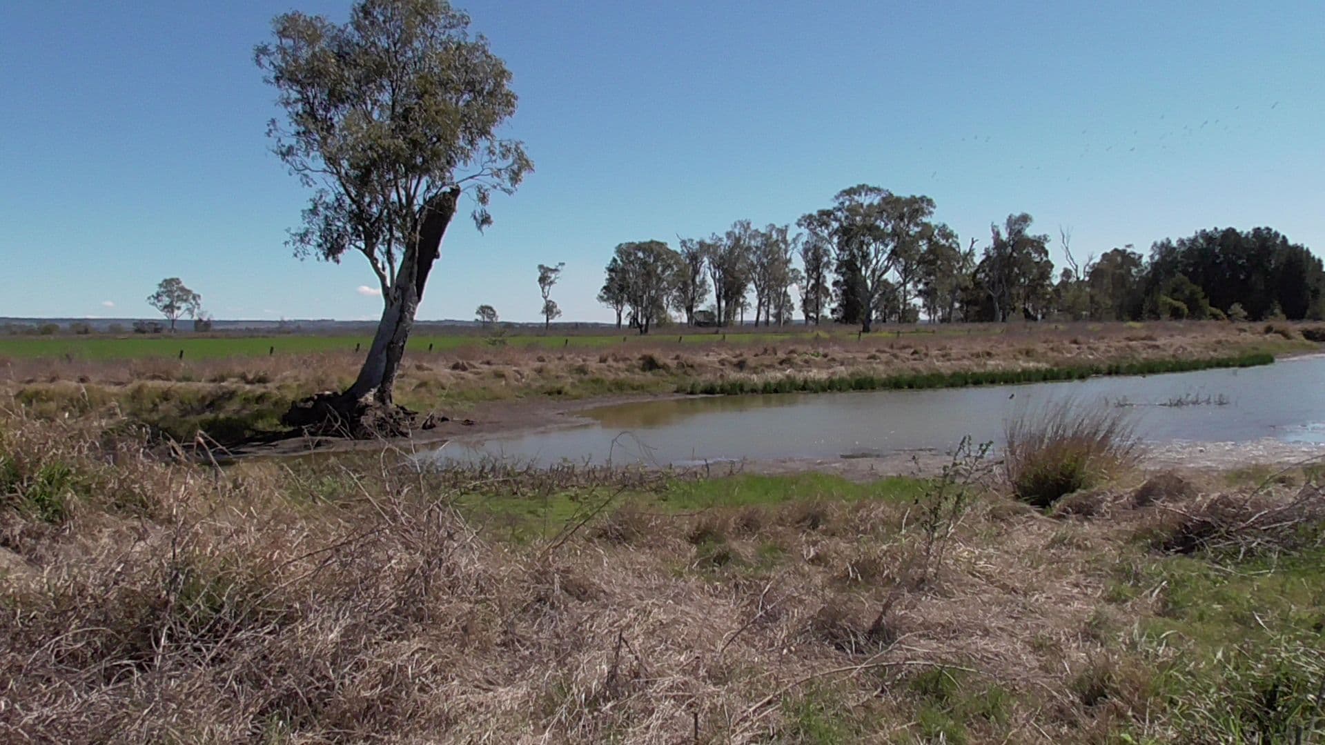 Wondai QLD 4606, Wondai - Thumbnail 5