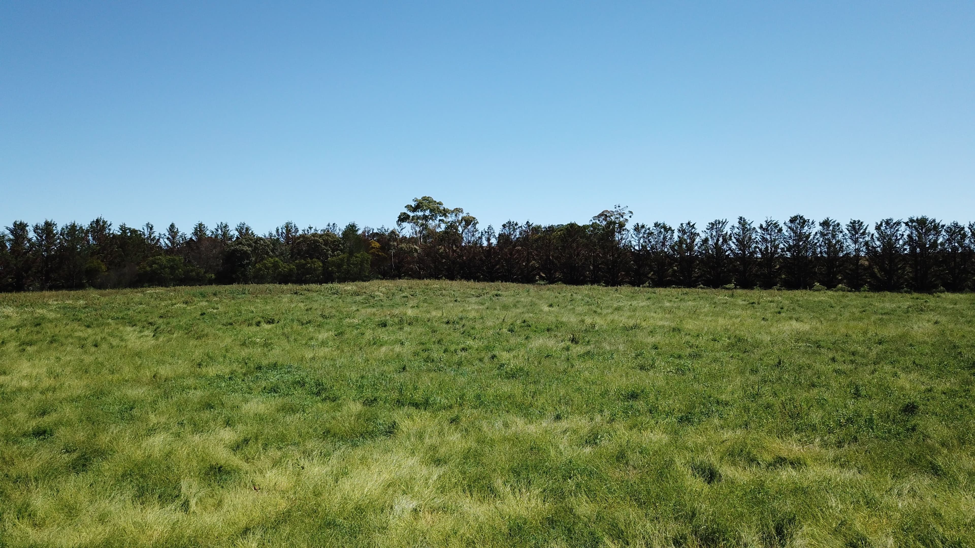 95 Black Lane, Armidale NSW 2350, Armidale - Thumbnail 3