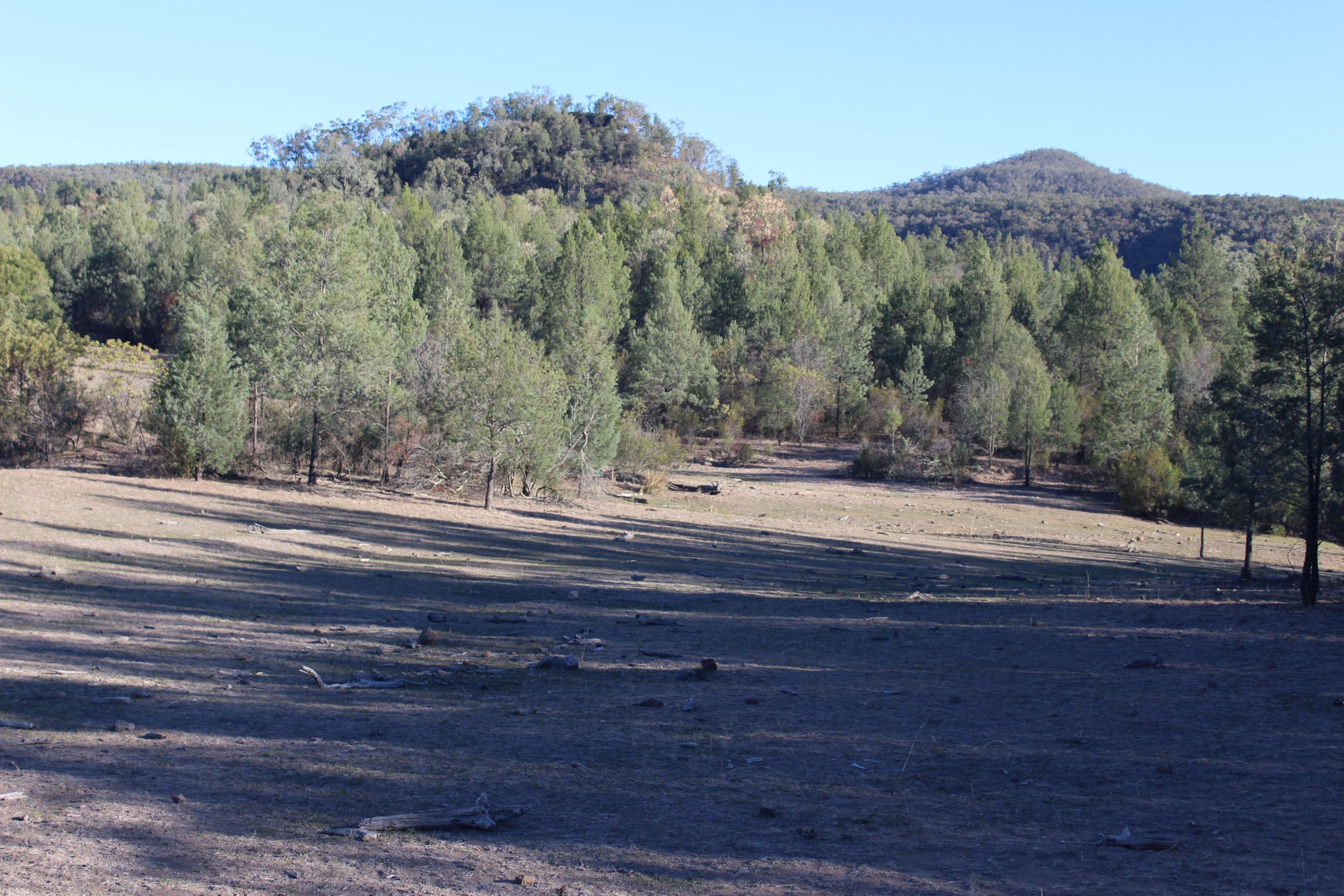 '' The Summit", Berrigal NSW 2390, Berrigal - Thumbnail 2