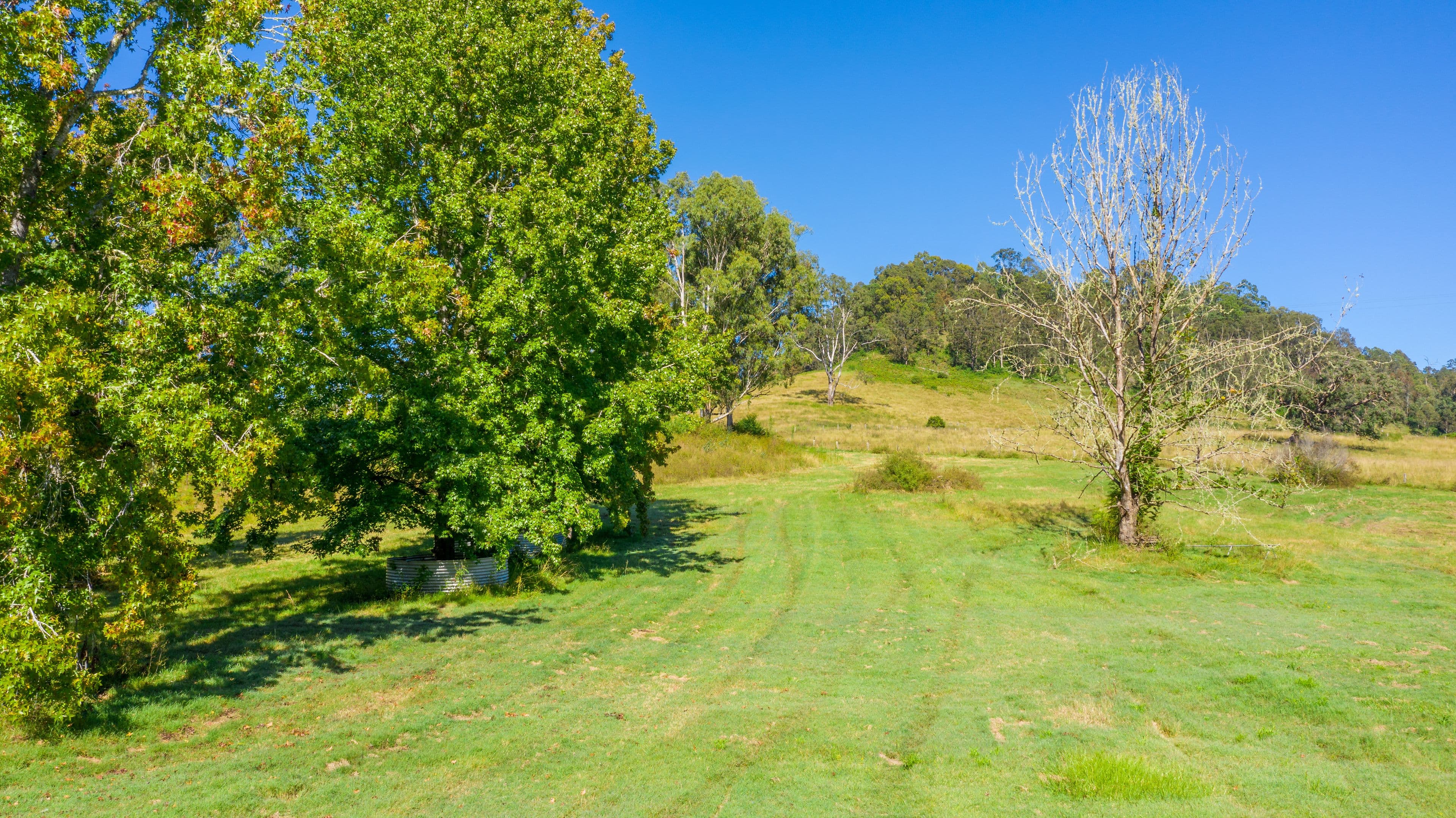 937 Duck Creek Road, Old Bonalbo NSW 2469, Old Bonalbo - Thumbnail 6
