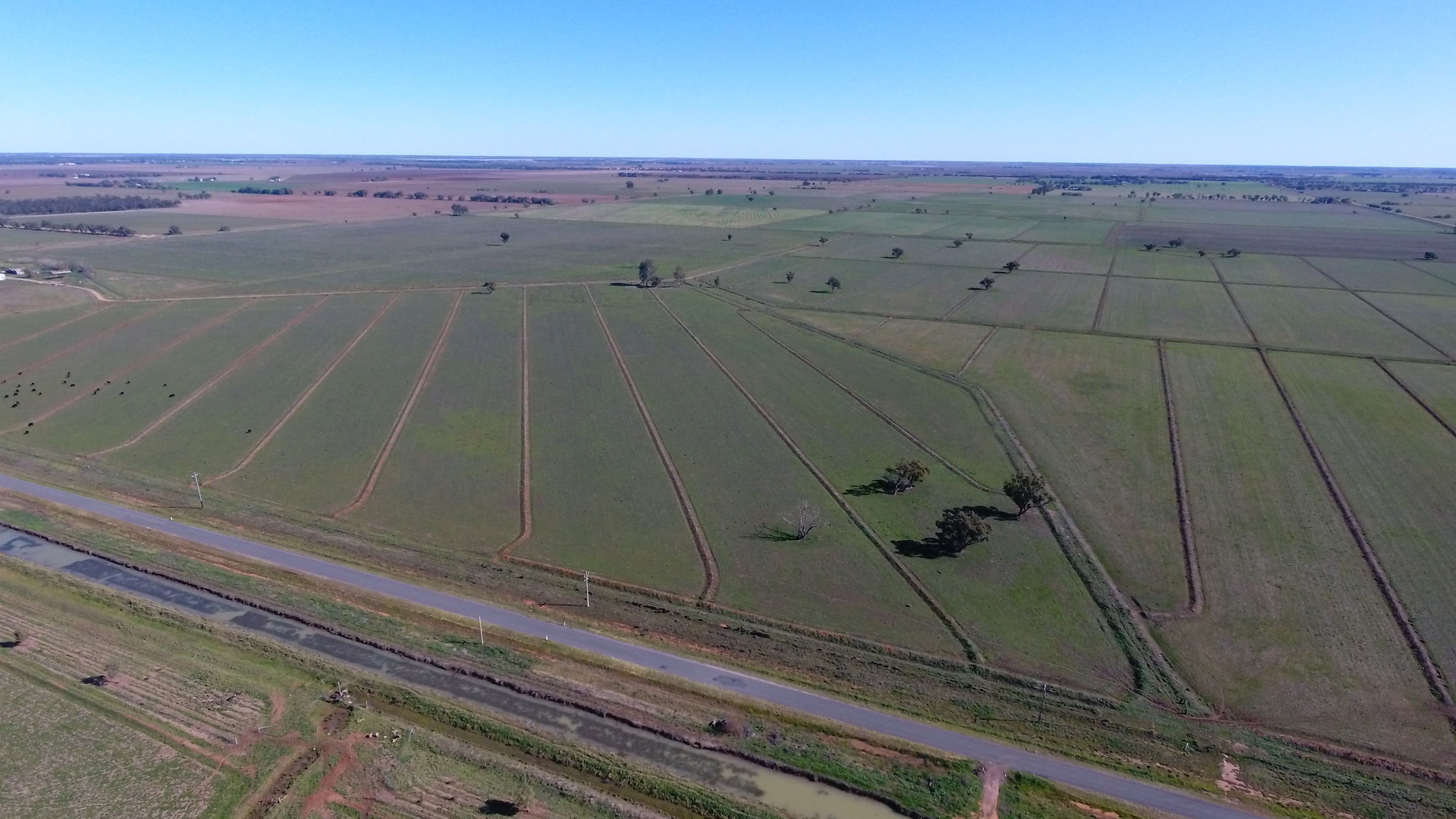 539 Mount Harris Road, Murrami NSW 2705, Murrami - Thumbnail 3