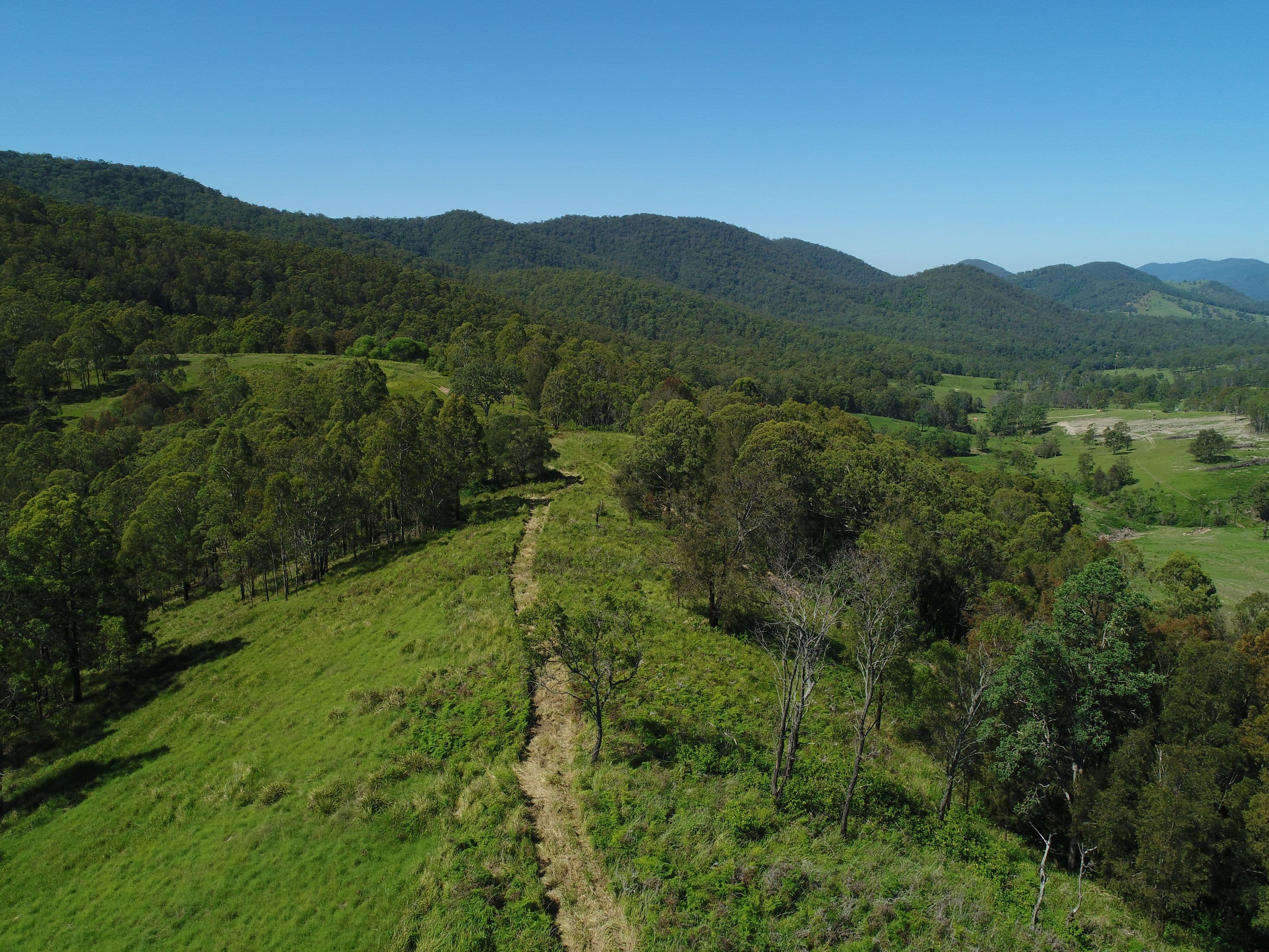 Lot 73 & 45 Nowendoc Road, Knorrit Flat NSW 2424, Knorrit Flat - Thumbnail 7