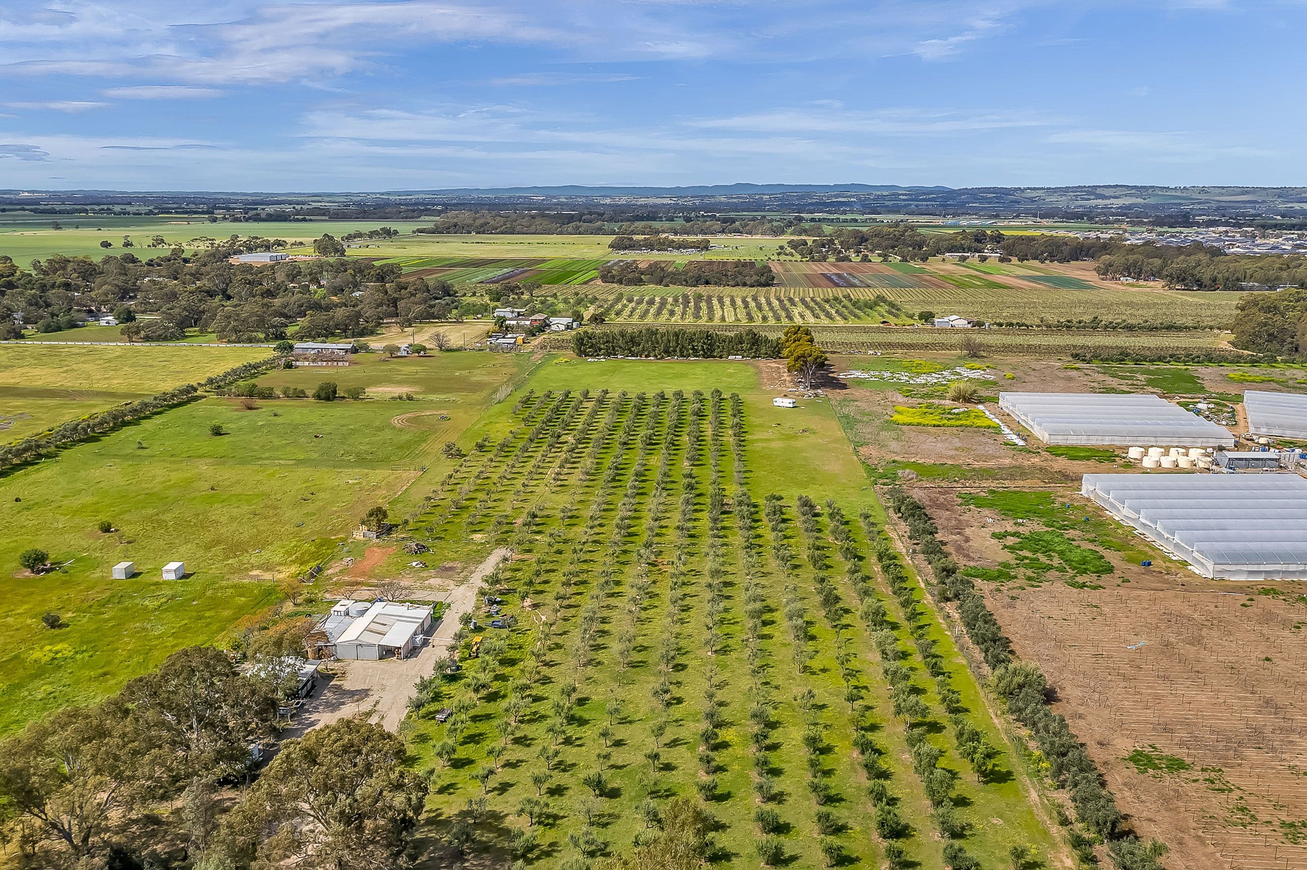 1659 Boundary Road, Gawler River SA 5118, Gawler River - Thumbnail 2