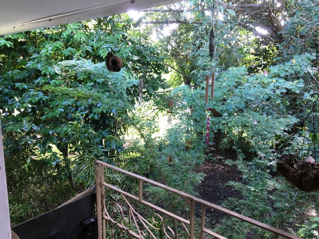 59-61 Alchera Drive, Mossman QLD 4873, Mossman - Thumbnail 6