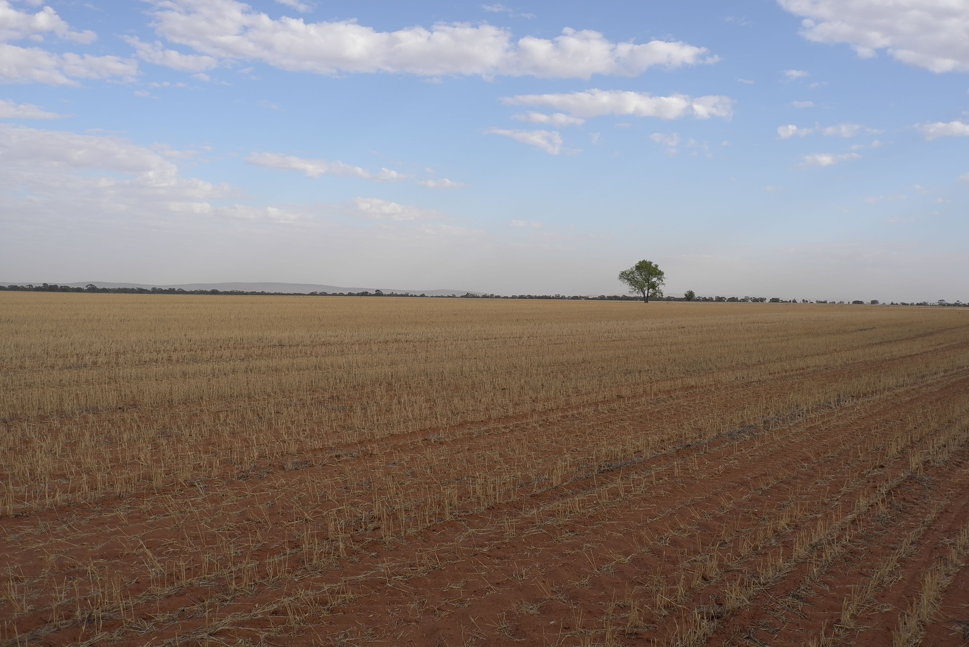 Heaths Road, Boorga NSW 2652, Boorga - Thumbnail 4