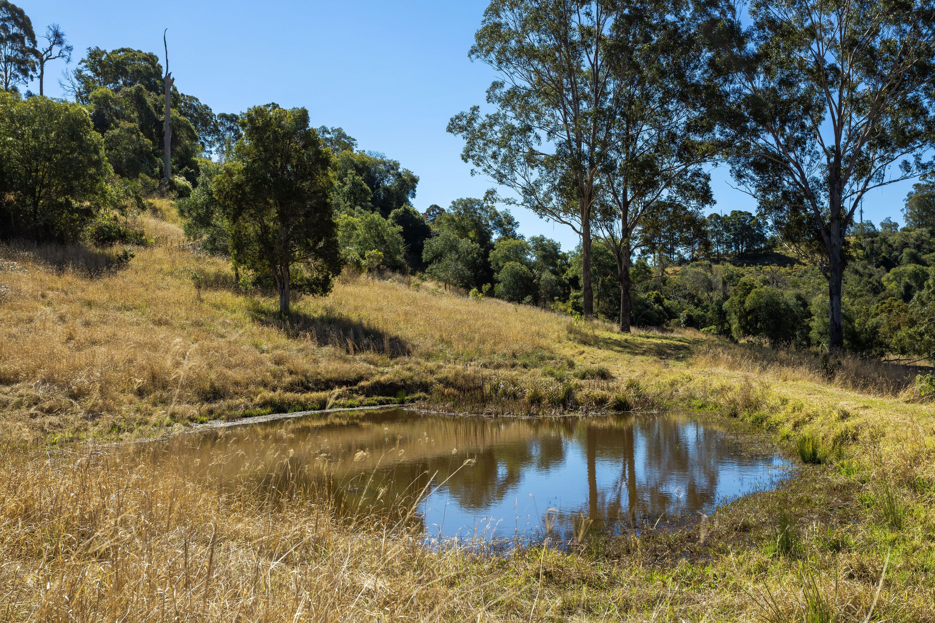 139 Sawpit Lane, Wallanbah NSW 2422, Wallanbah - Thumbnail 6