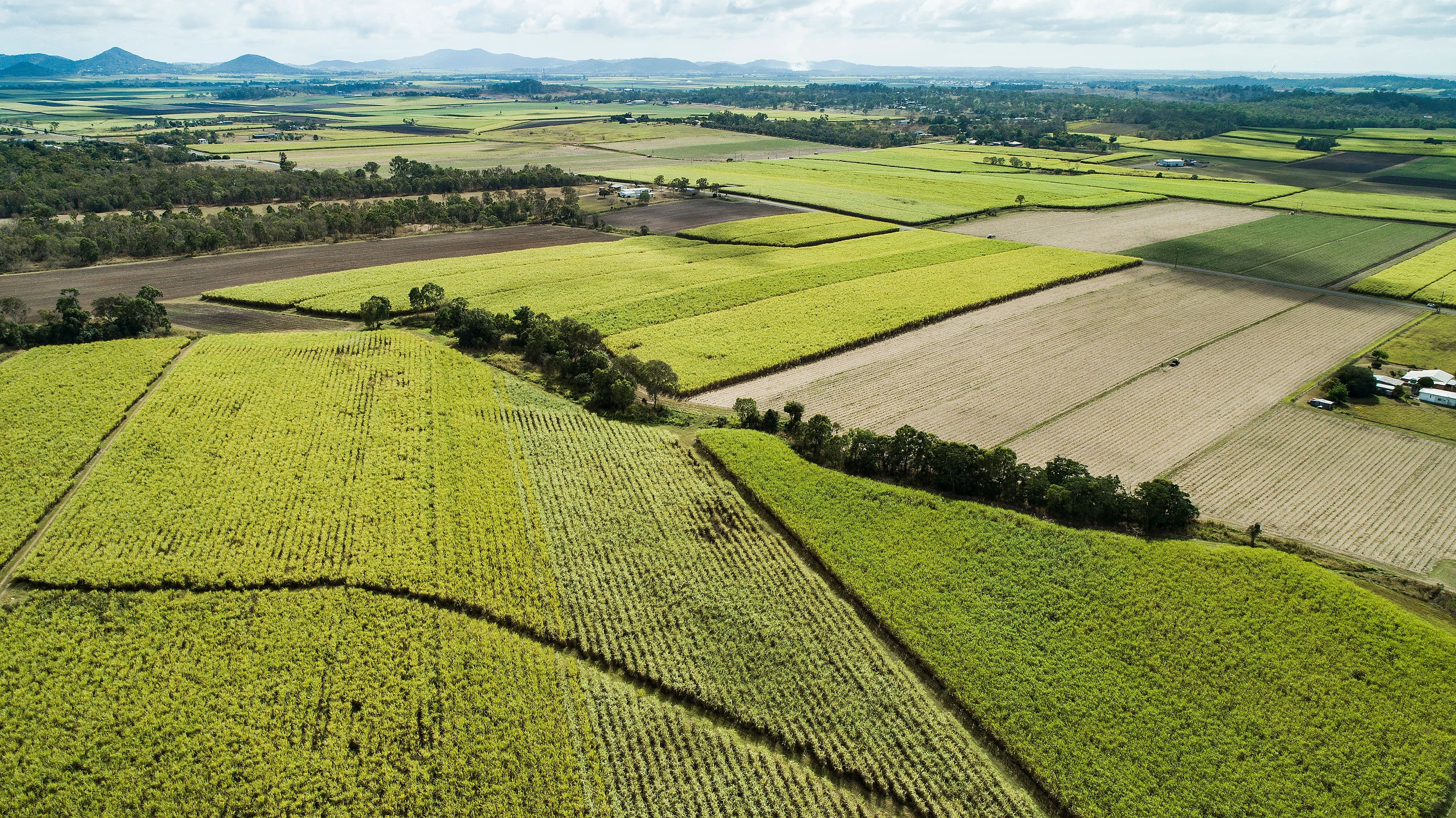 Lot 2 Mount Vince Road, Victoria Plains QLD 4751, Victoria Plains - Thumbnail 3
