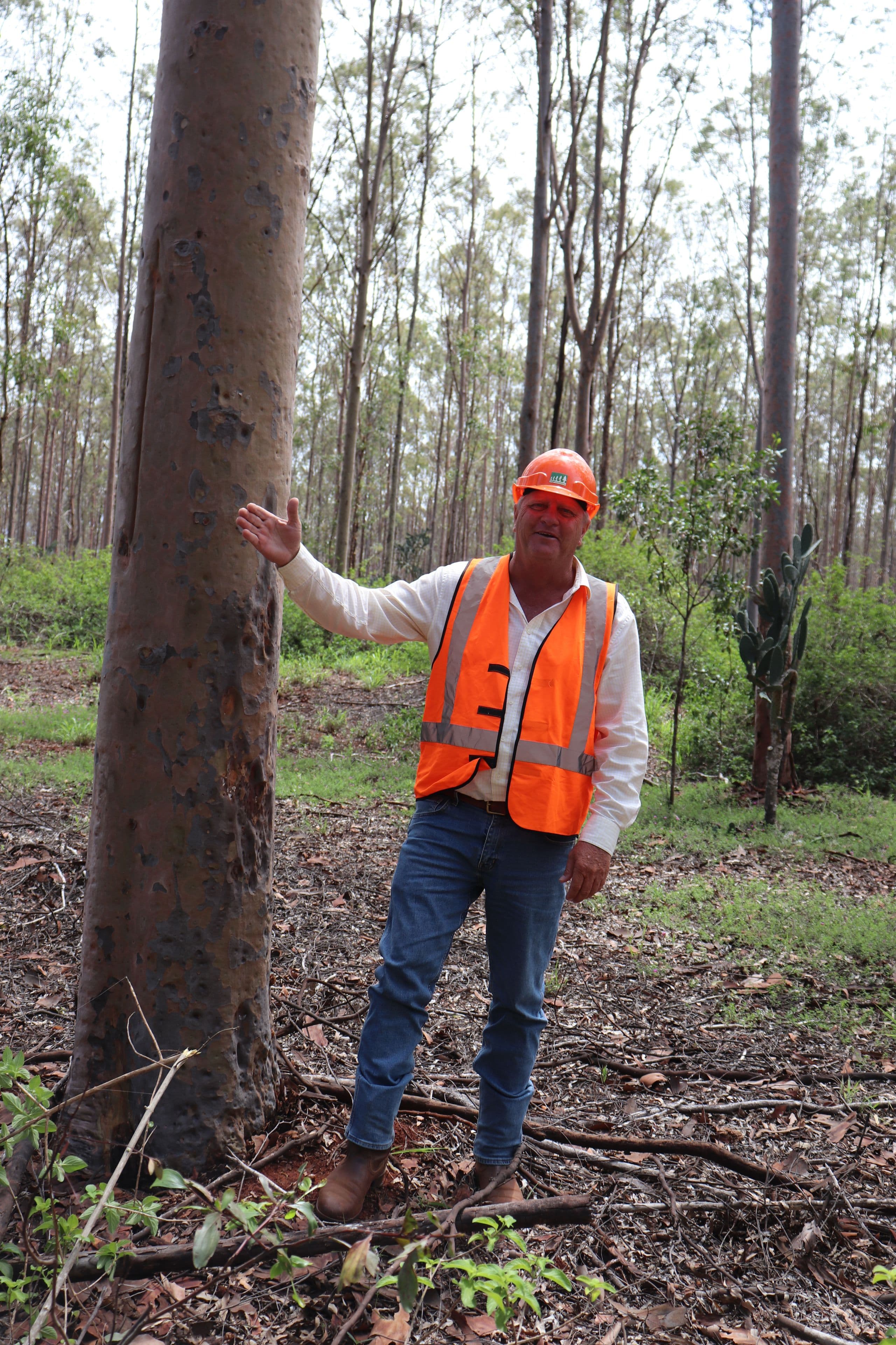 'Hooper' Burnett Highway, Binjour QLD 4625, Binjour - Thumbnail 7
