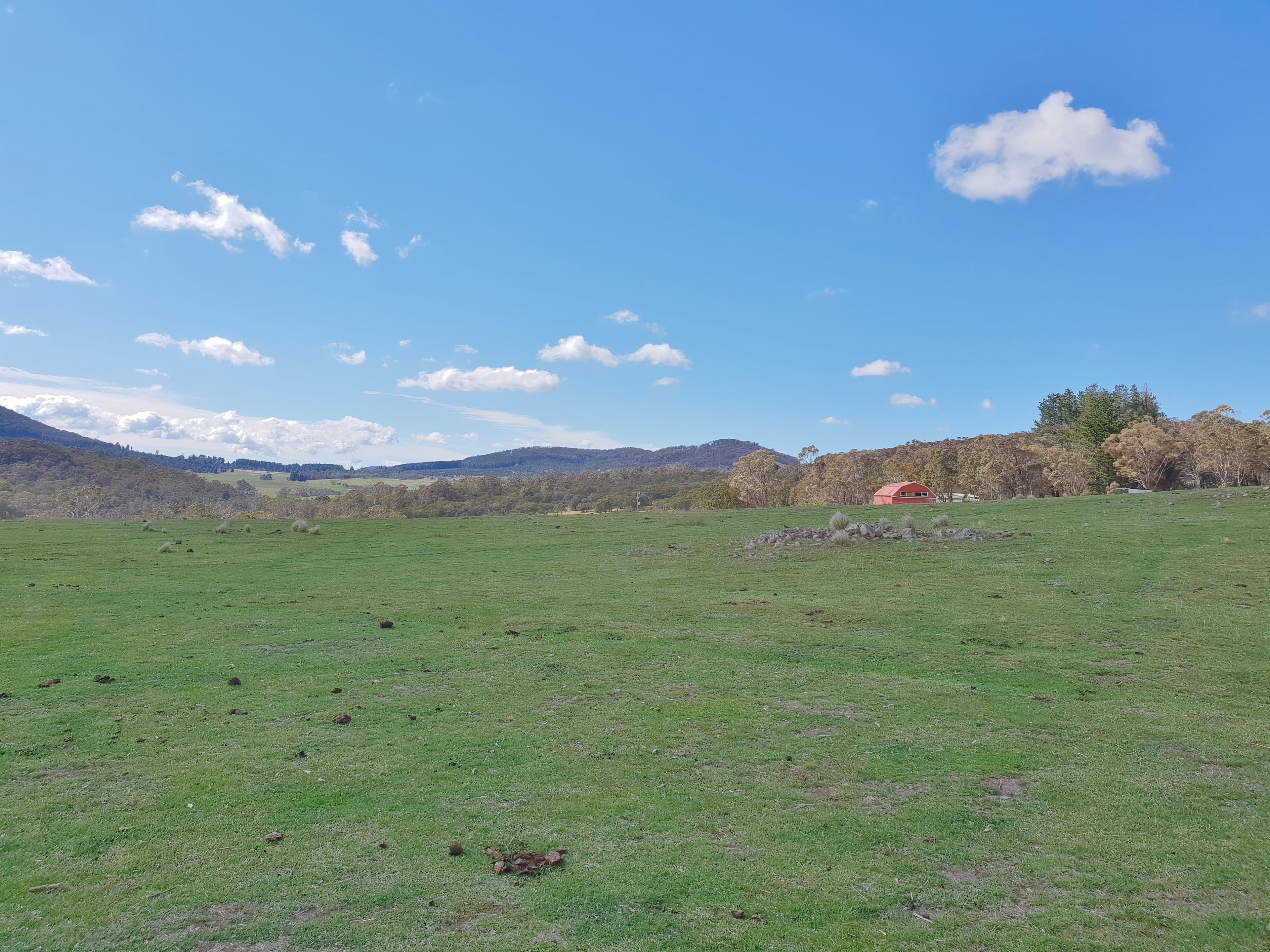 111 Hereford Hall Road, Hereford Hall, Braidwood NSW 2622, Braidwood - Thumbnail 3