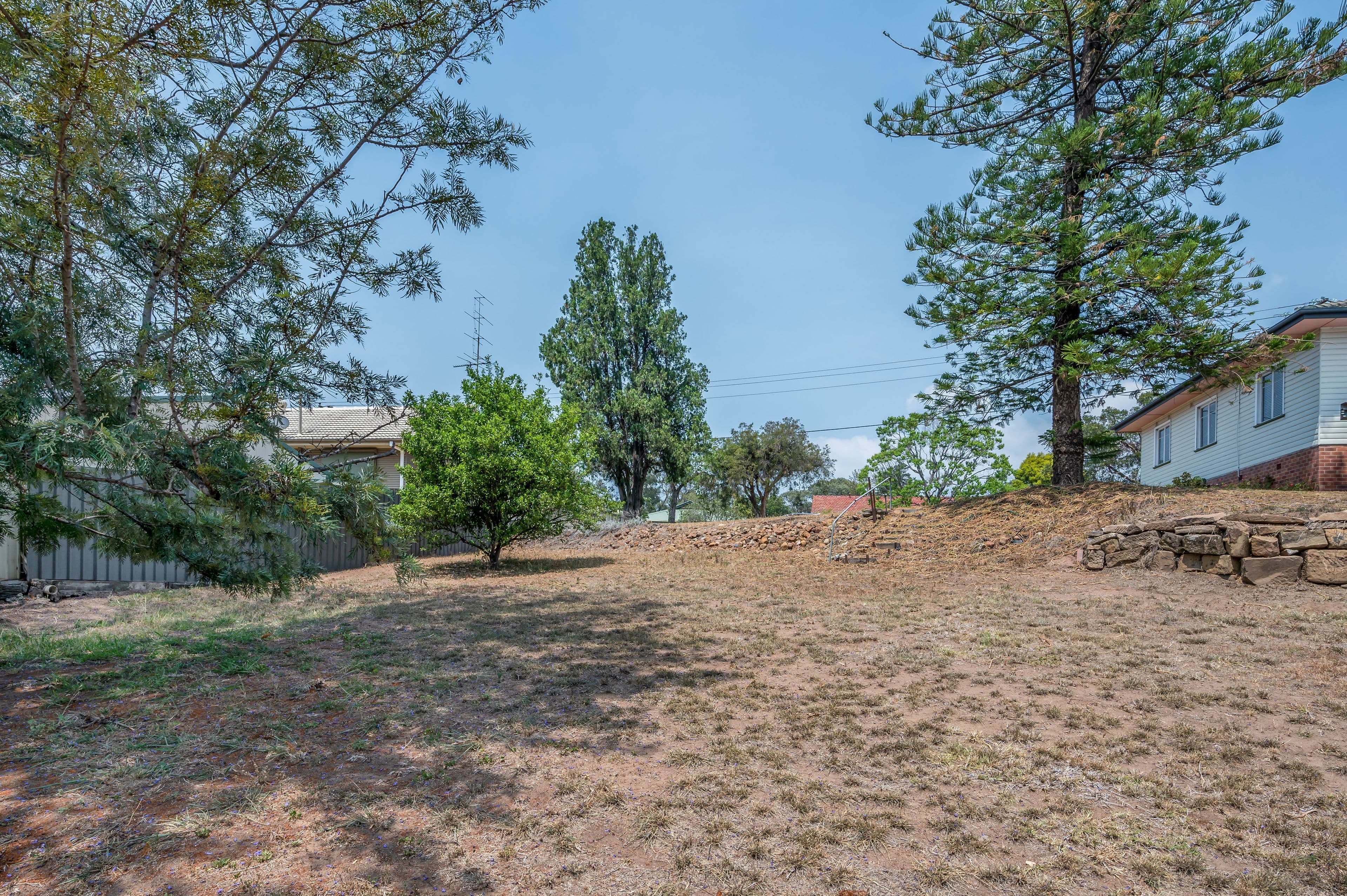 7 White Avenue, Singleton Heights NSW 2330, Singleton Heights - Thumbnail 2