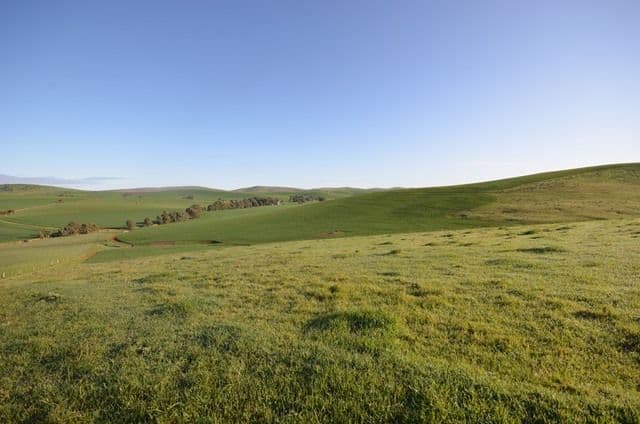"Ashleys" Patterson Road, Gulnare SA 5471, Gulnare - Image 1