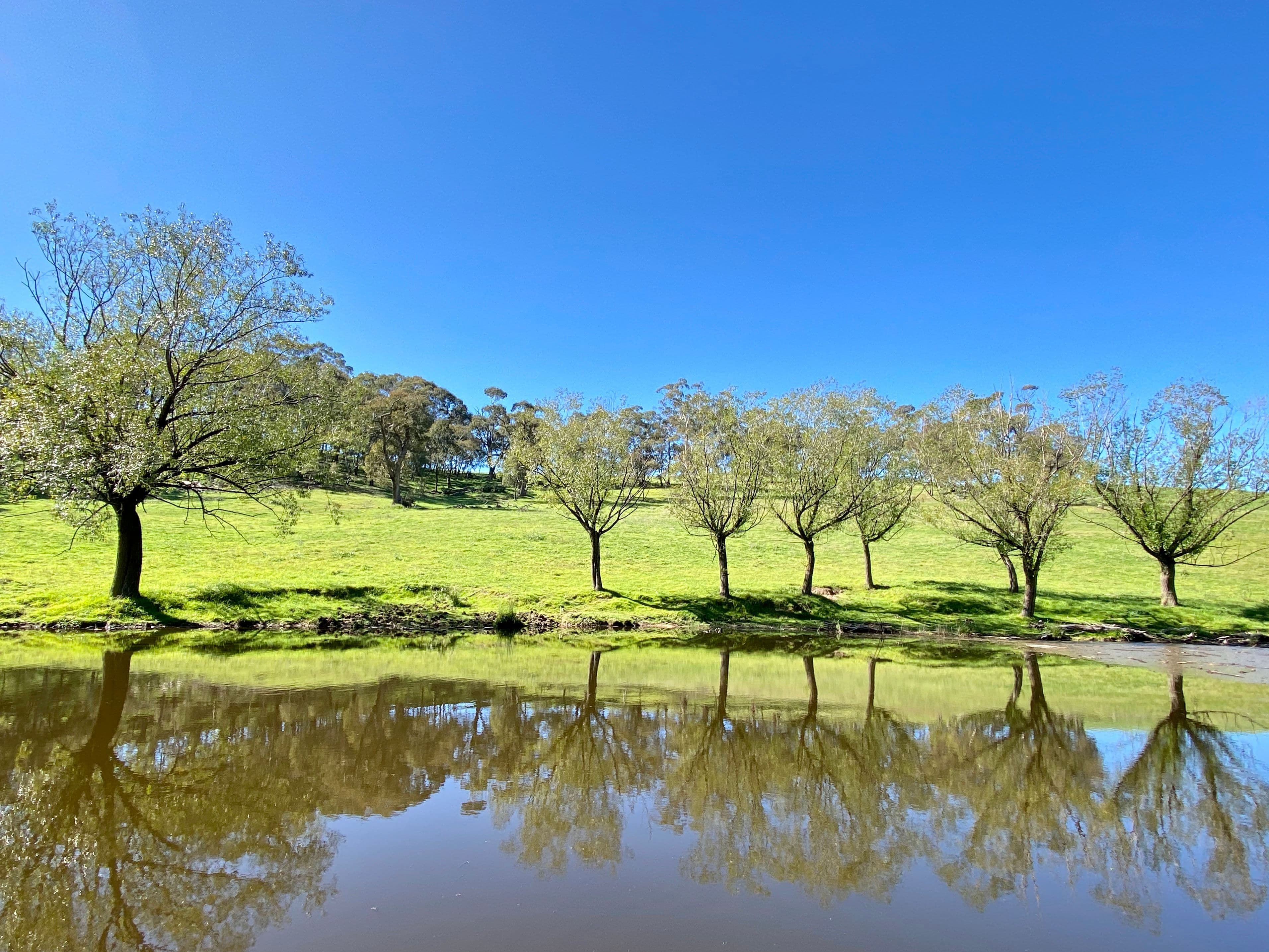 394 Mount Olive Road, Oberon NSW 2787, Oberon - Thumbnail 3
