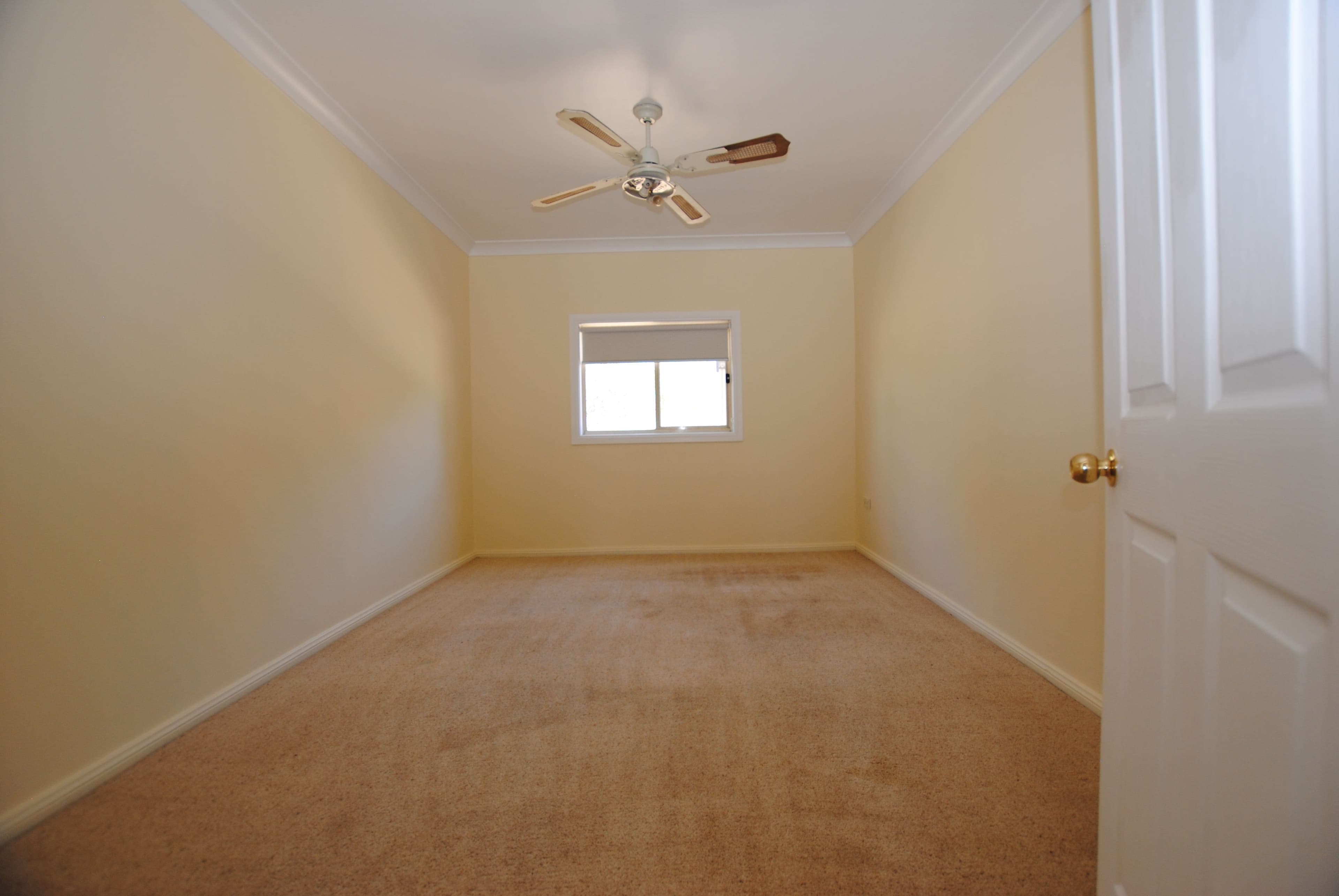 8 Wattle Street, Hanwood - Thumbnail 8