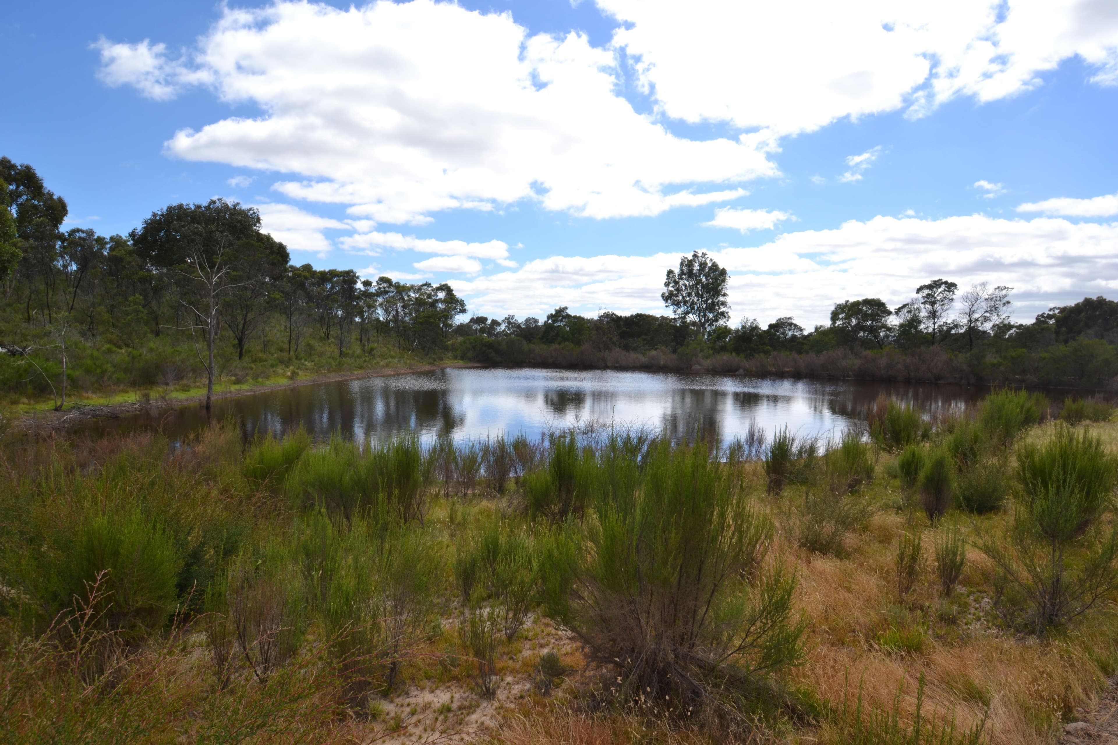 1549 Upton Road, Avenel VIC 3664, Avenel - Thumbnail 5