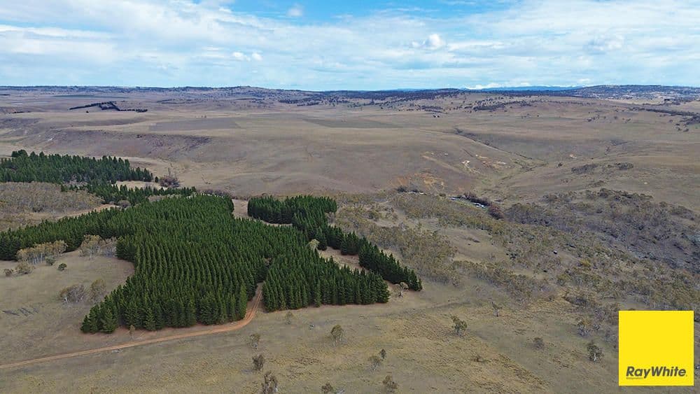 757 Caddigat Road, Dry Plain NSW 2630, Dry Plain - Thumbnail 4