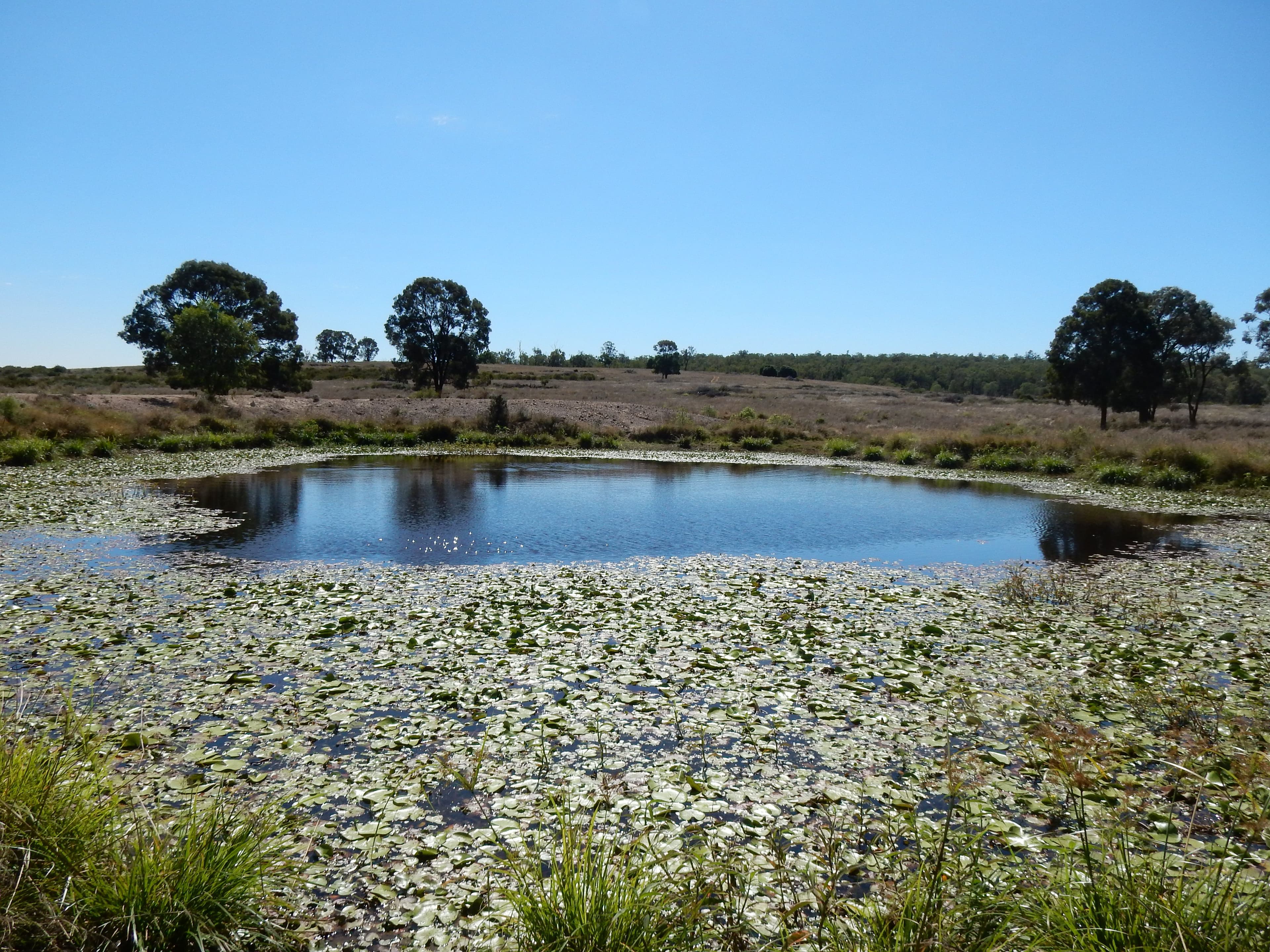 Goovigen QLD 4702, Goovigen - Thumbnail 2