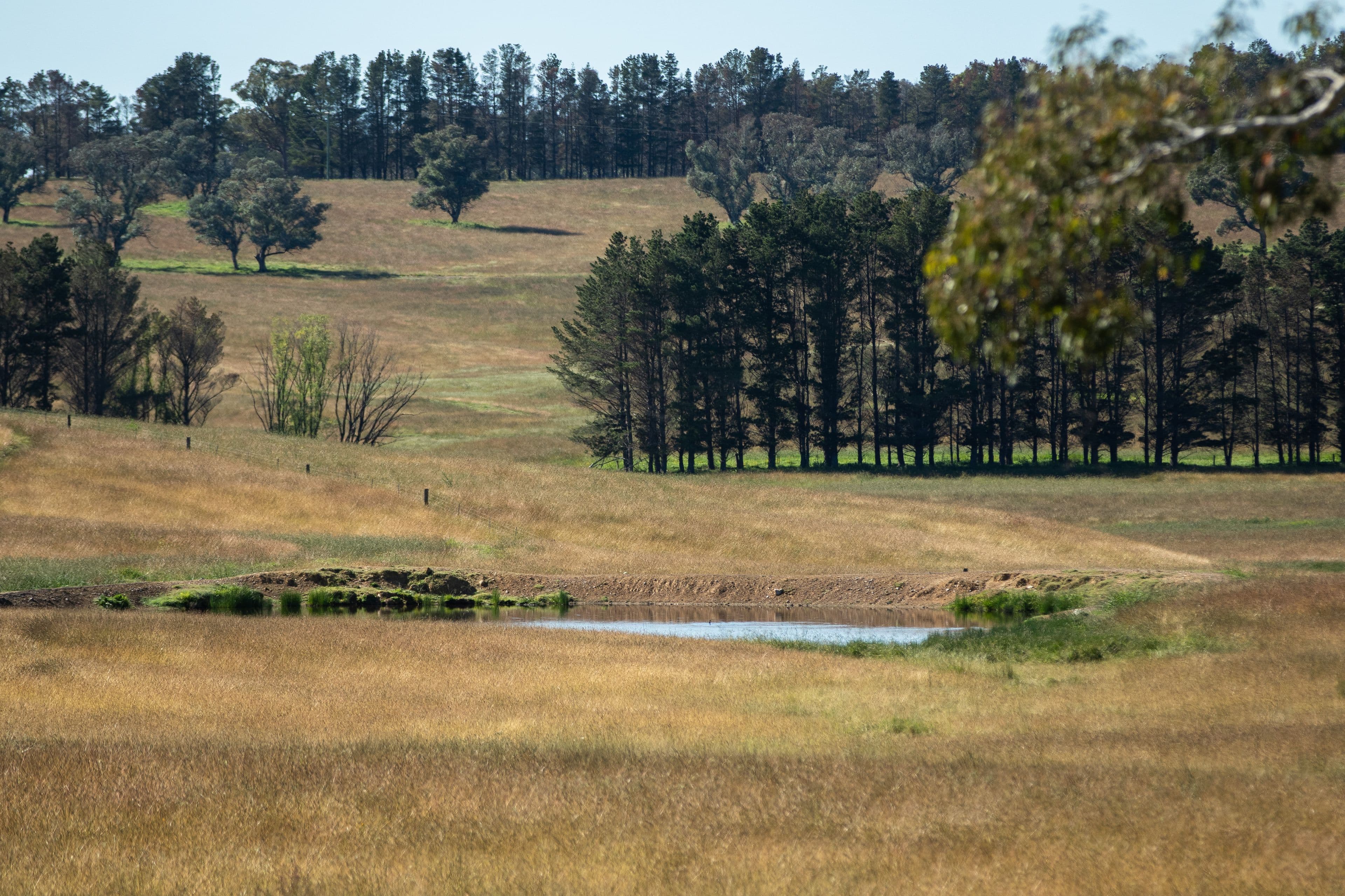 13566 Oxley Highway, Walcha NSW 2354, Walcha - Thumbnail 7