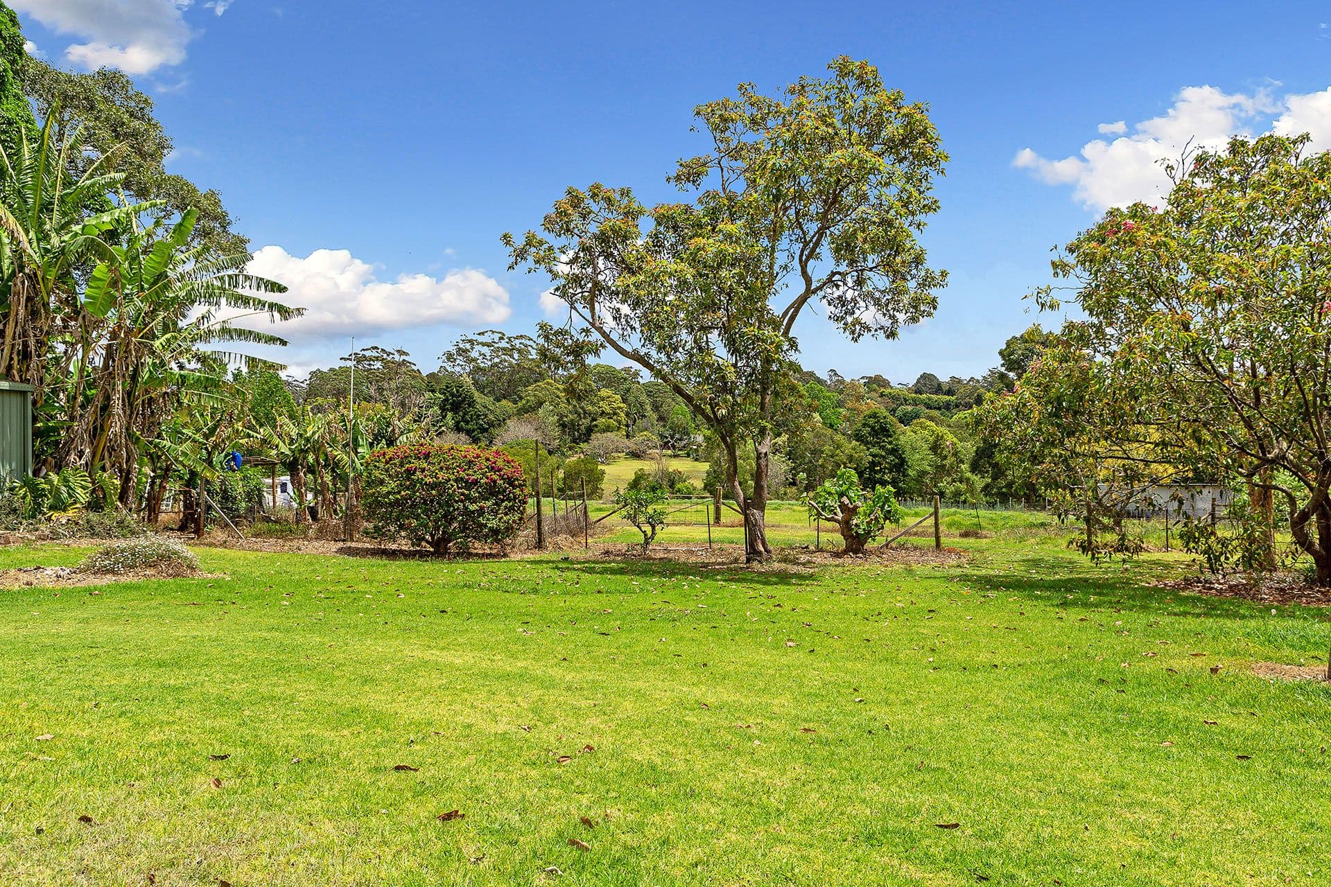 50-54 Prospect Street, Tamborine Mountain QLD 4272, Tamborine Mountain - Thumbnail 3