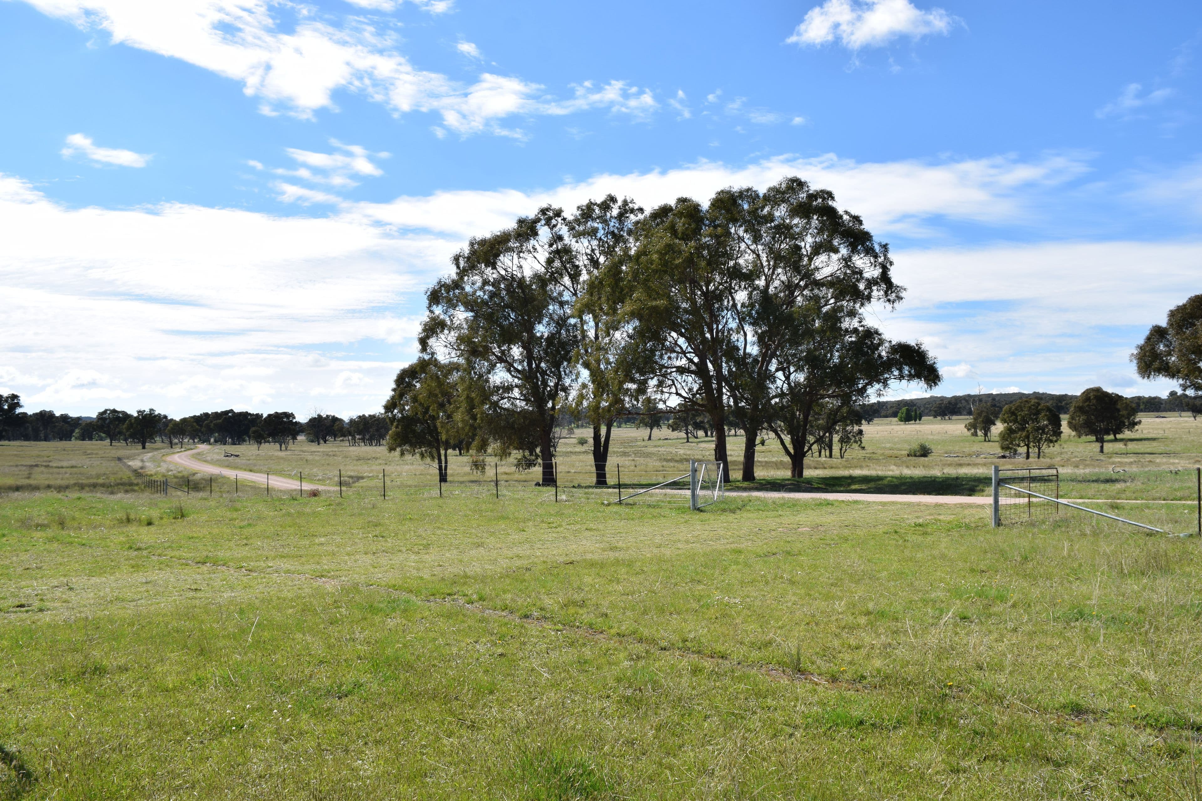 Glenfield Nth 305 Loxton Road, Wandsworth NSW 2365, Wandsworth - Thumbnail 6