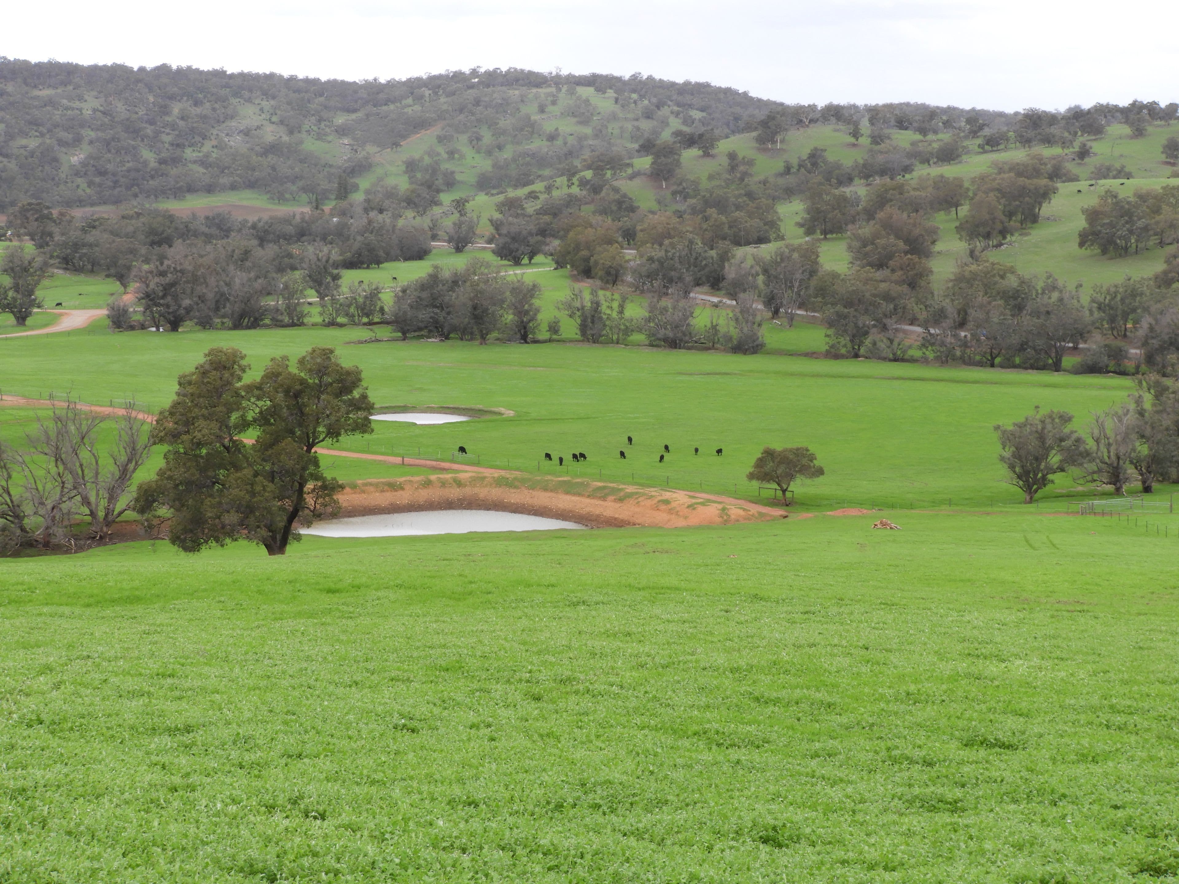 Lots 1280, 779,595,584,559,775, Lower Chittering Road, Chittering WA 6084, Chittering - Image 1