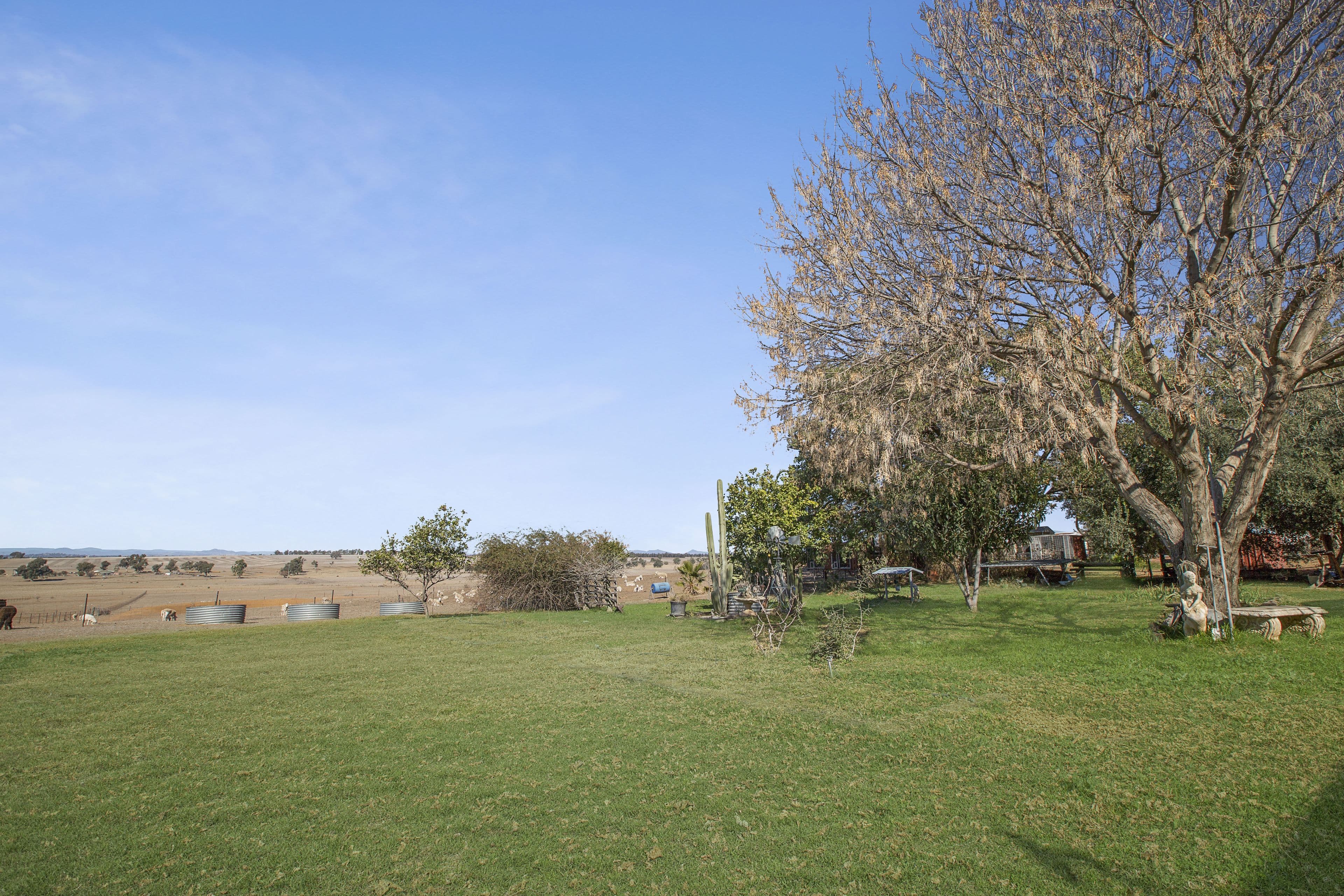 120 Byamee Lane, Tamworth NSW 2340, Tamworth - Thumbnail 7