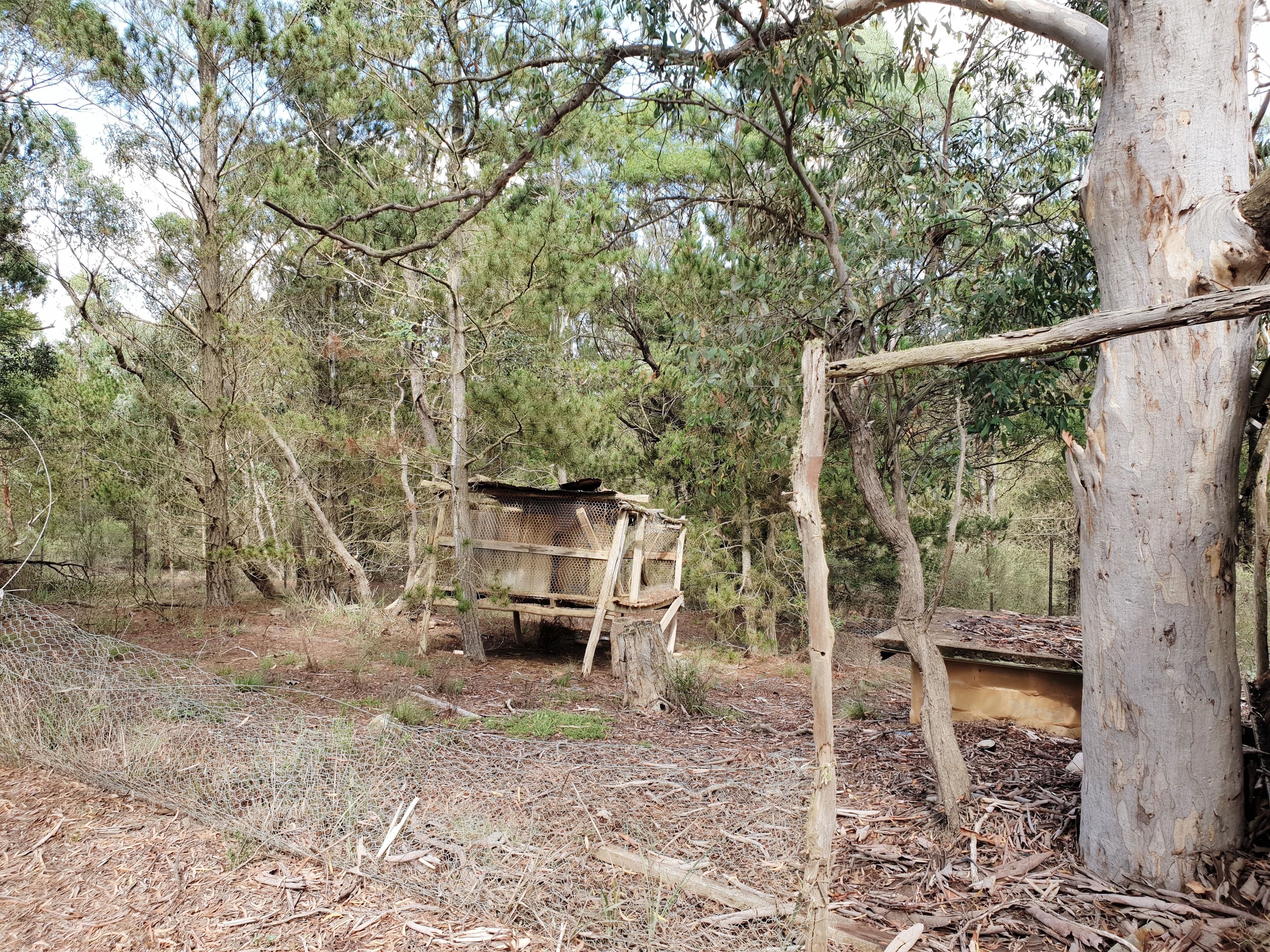 124 Nerriga Road, Braidwood NSW 2622, Braidwood - Thumbnail 4