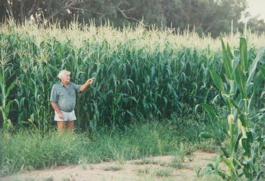 'Lemnos' 981 North Forbes Road, CONDOBOLIN NSW 2877, Condobolin - Thumbnail 7