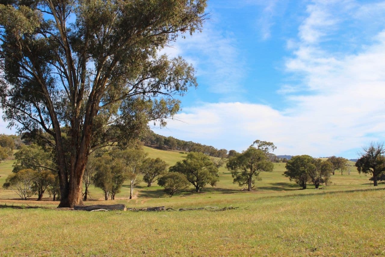 2529 Sofala Road, Bathurst NSW 2795, Bathurst - Image 1