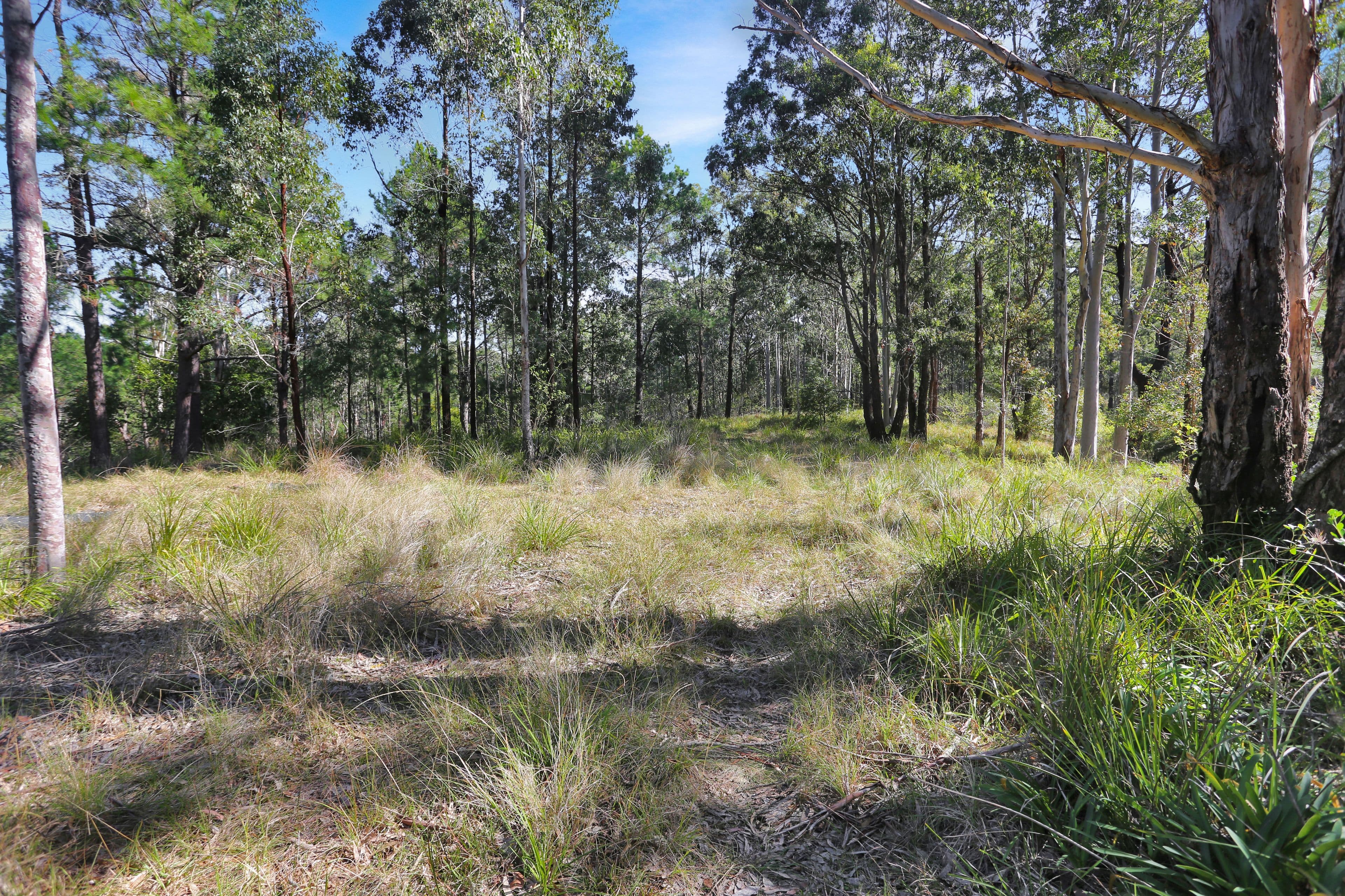 179 Viney Creek Road, Tea Gardens NSW 2324, Tea Gardens - Thumbnail 3