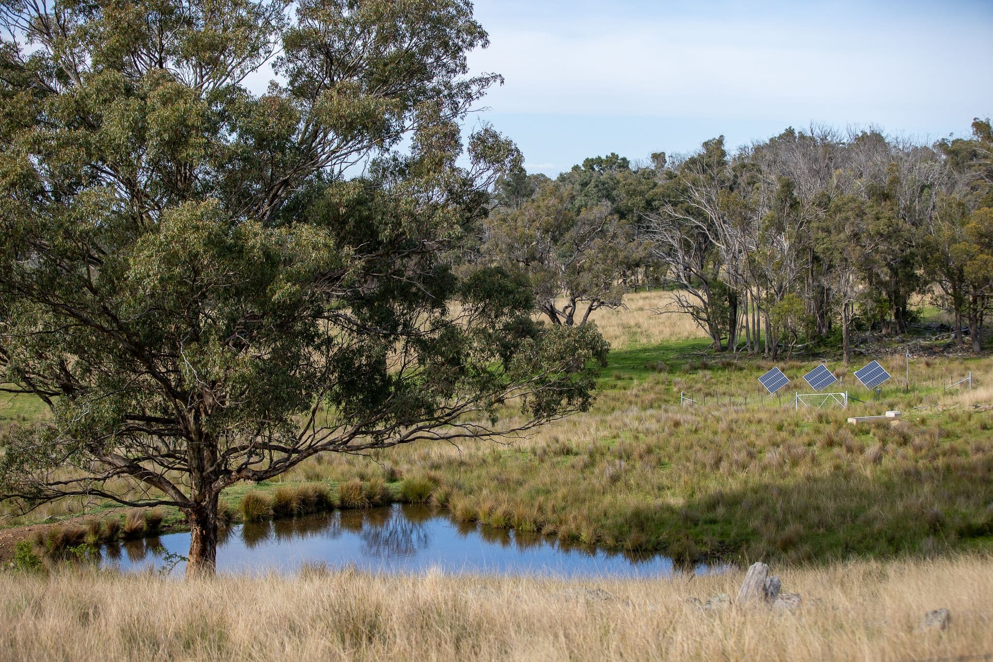 874 Ramah Road, Guyra NSW 2365, Guyra - Thumbnail 6