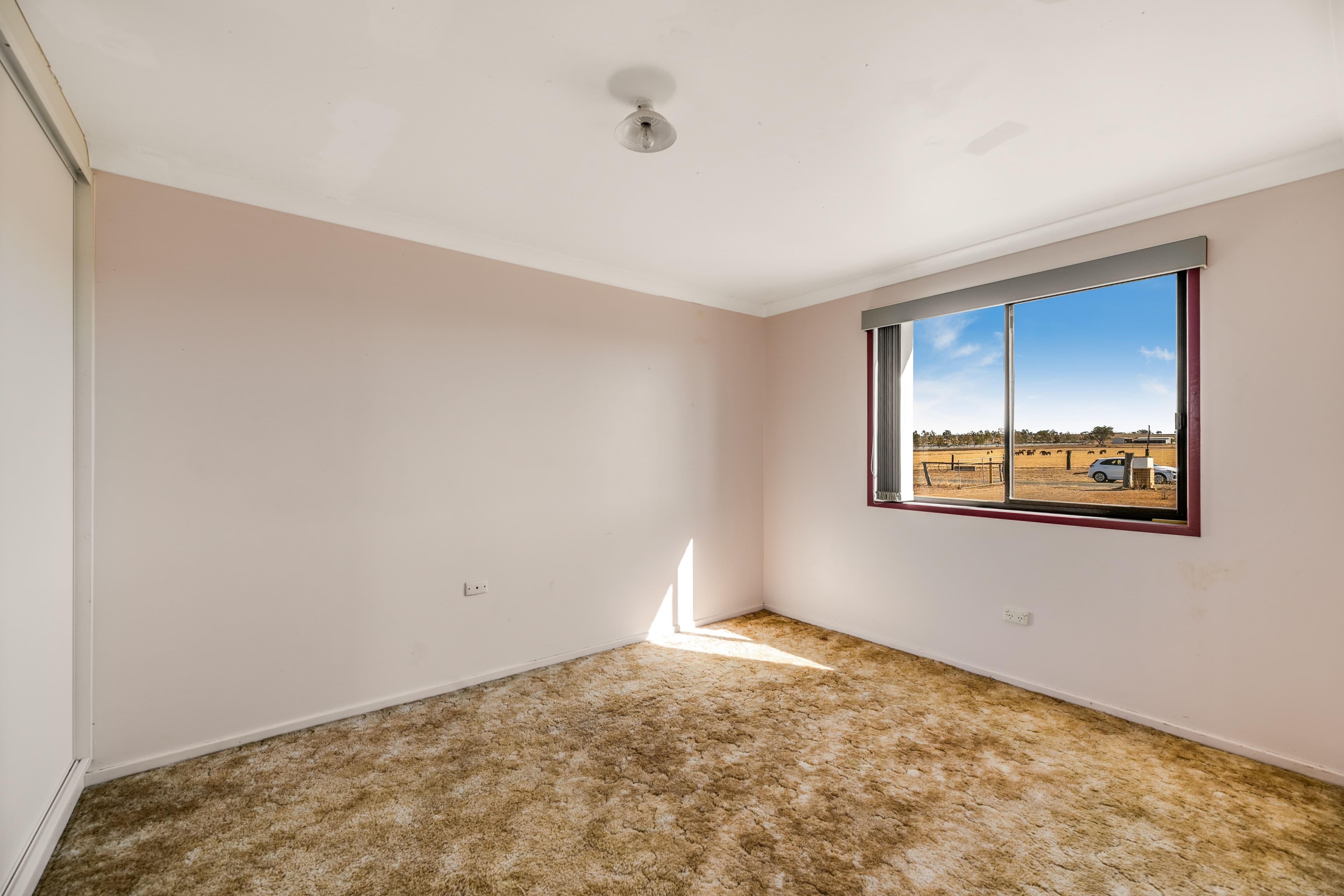 463 Biddeston-Southbrook Road, Biddeston QLD 4401, Biddeston - Thumbnail 6