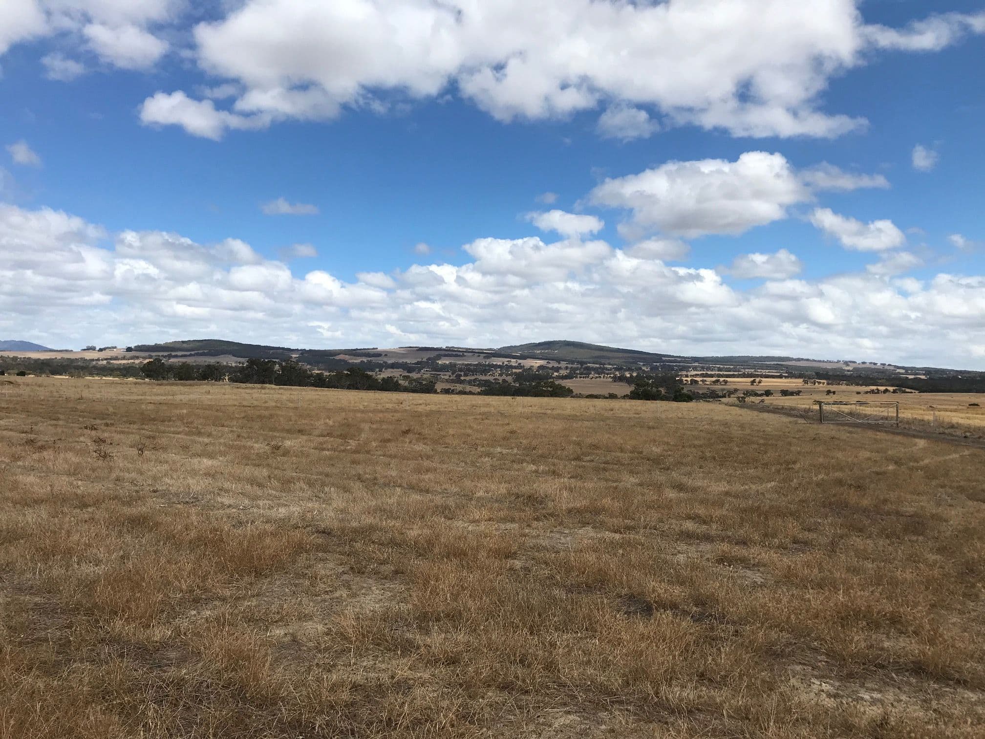 4 Scott Road, Mount Barker WA 6324, Mount Barker - Image 1