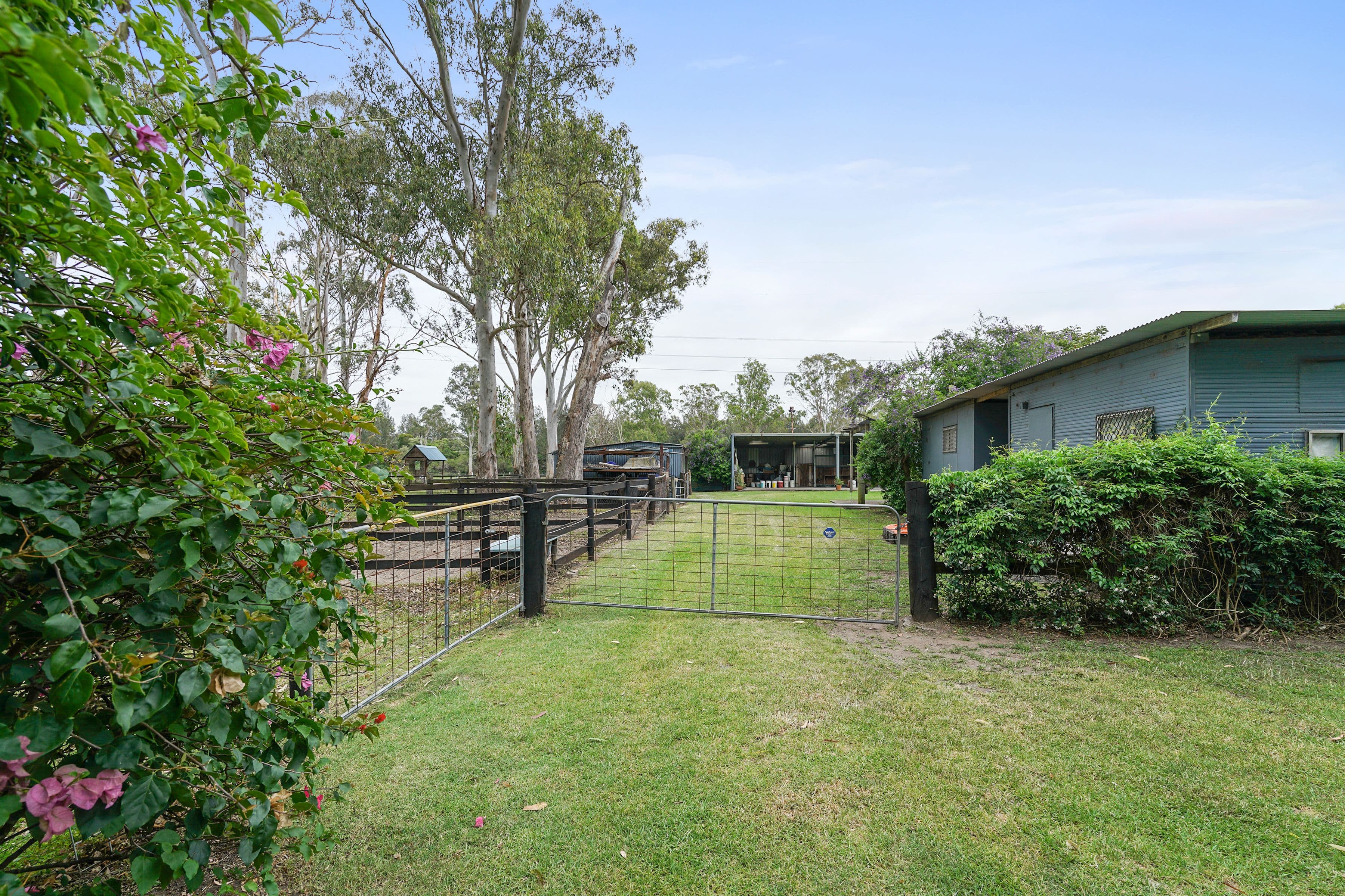 214 Freemans Drive, Morisset NSW 2264, Morisset - Thumbnail 3