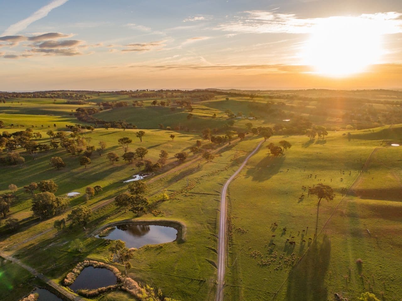 401 Lucan Road, Lyndhurst NSW 2797, Lyndhurst - Thumbnail 2