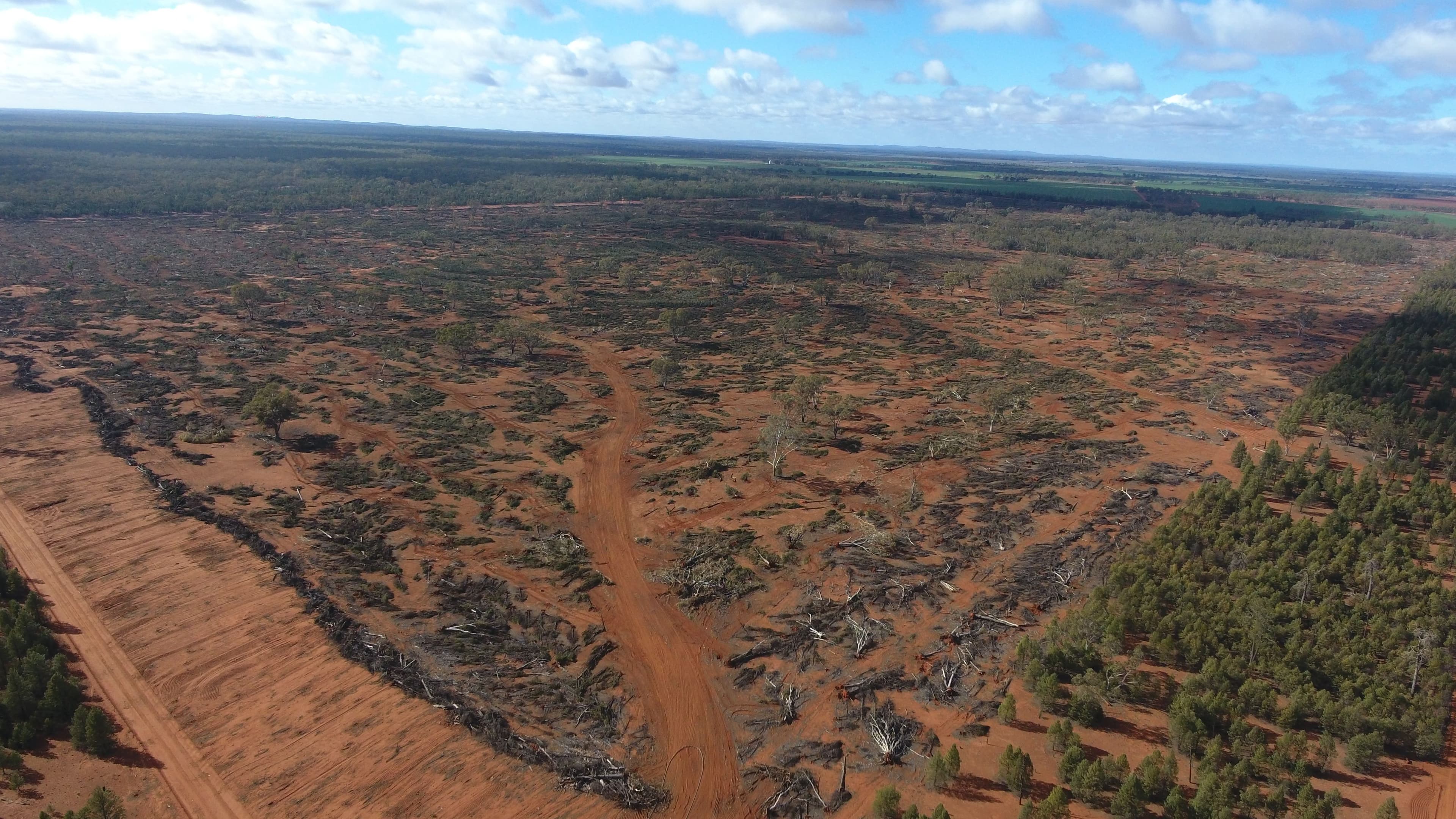 8491 Grain Road, Euabalong West NSW 2877, Euabalong West - Thumbnail 6