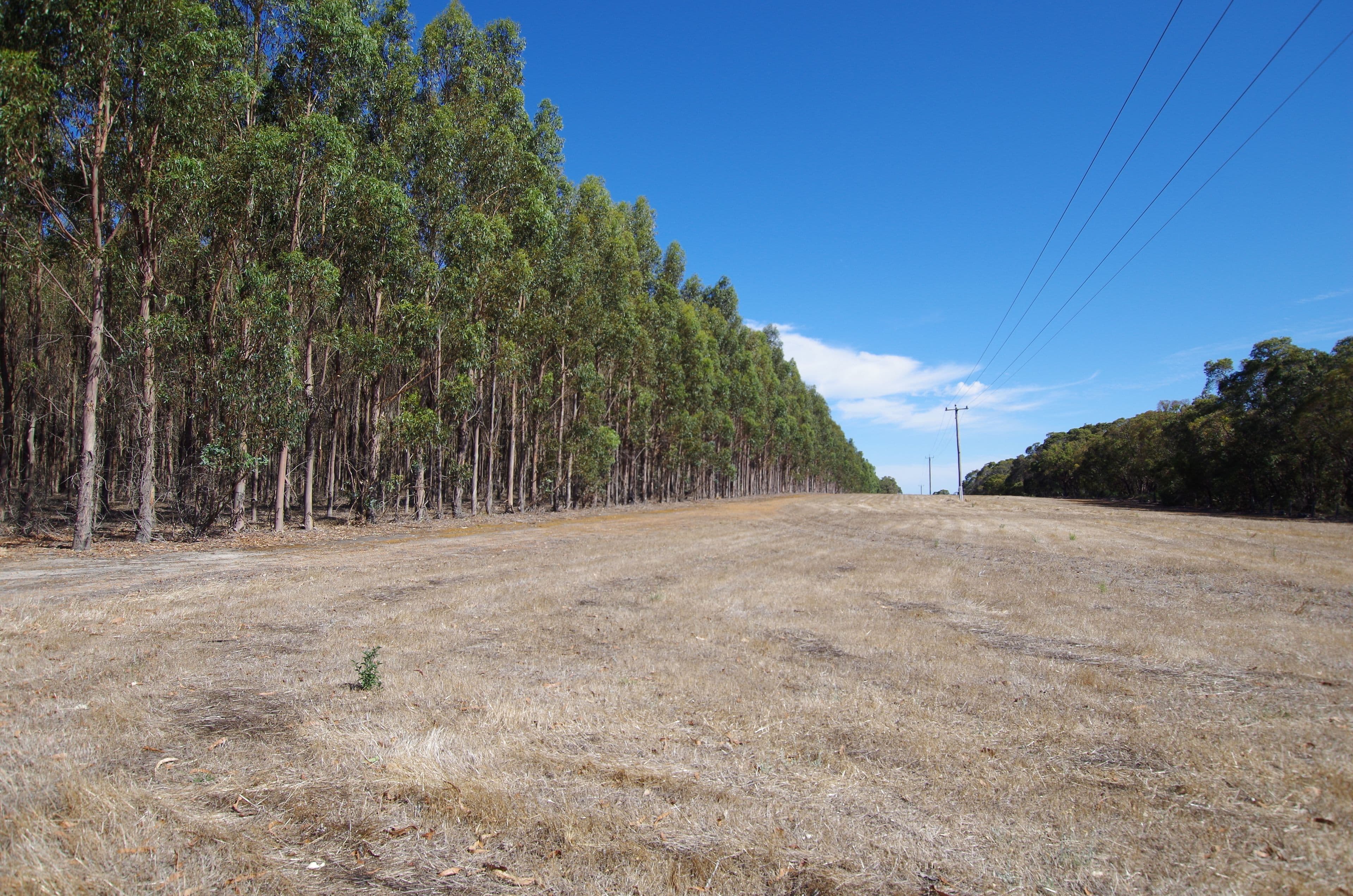 722 Watermans Road, Narrikup WA 6326, Narrikup - Image 1