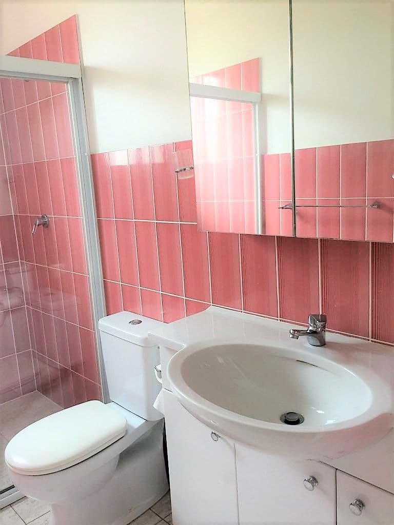 238A Bexley Road, Earlwood NSW 2206, Earlwood - Thumbnail 6