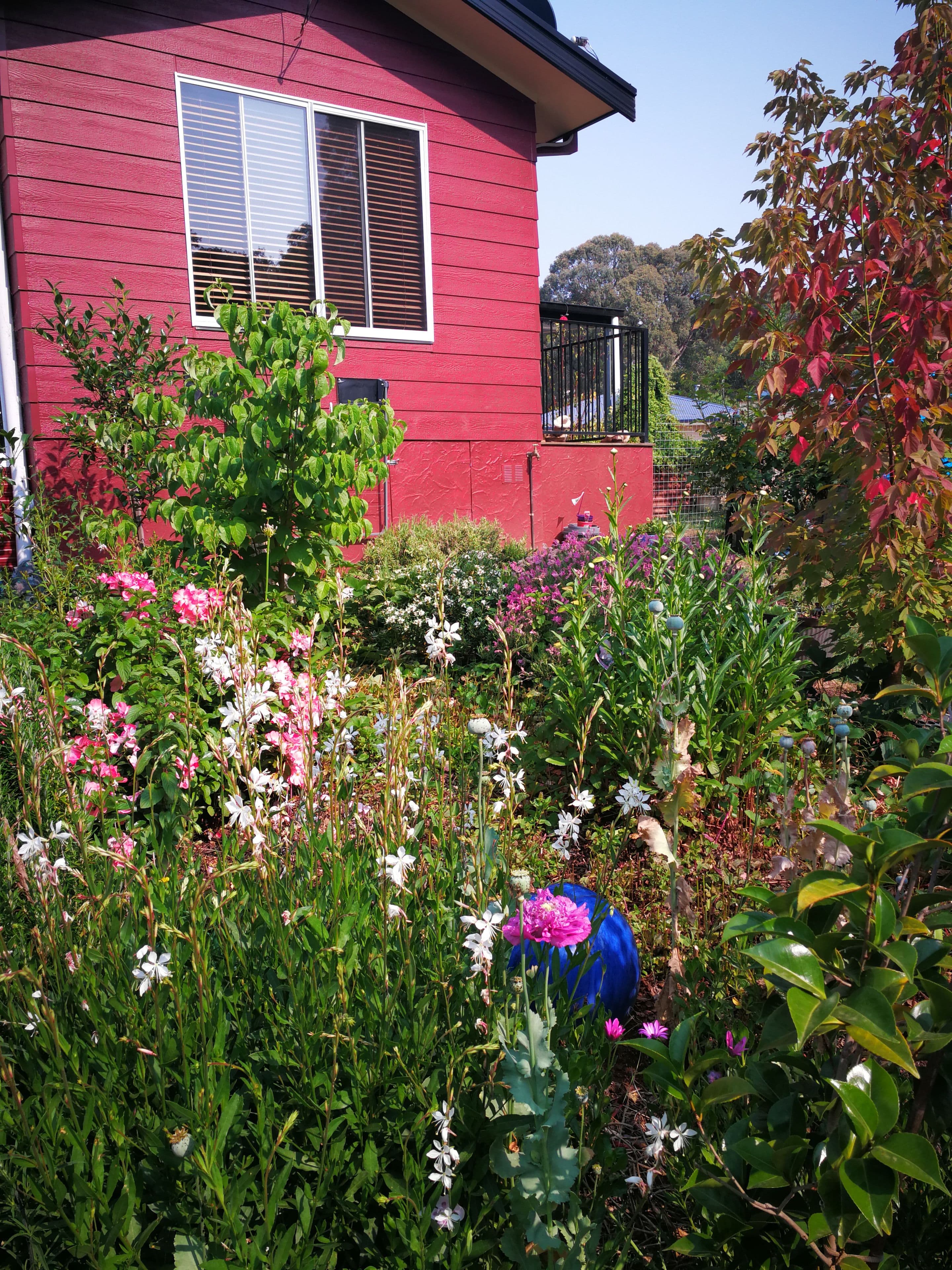 18 Bonza Crescent, Batlow - Thumbnail 6