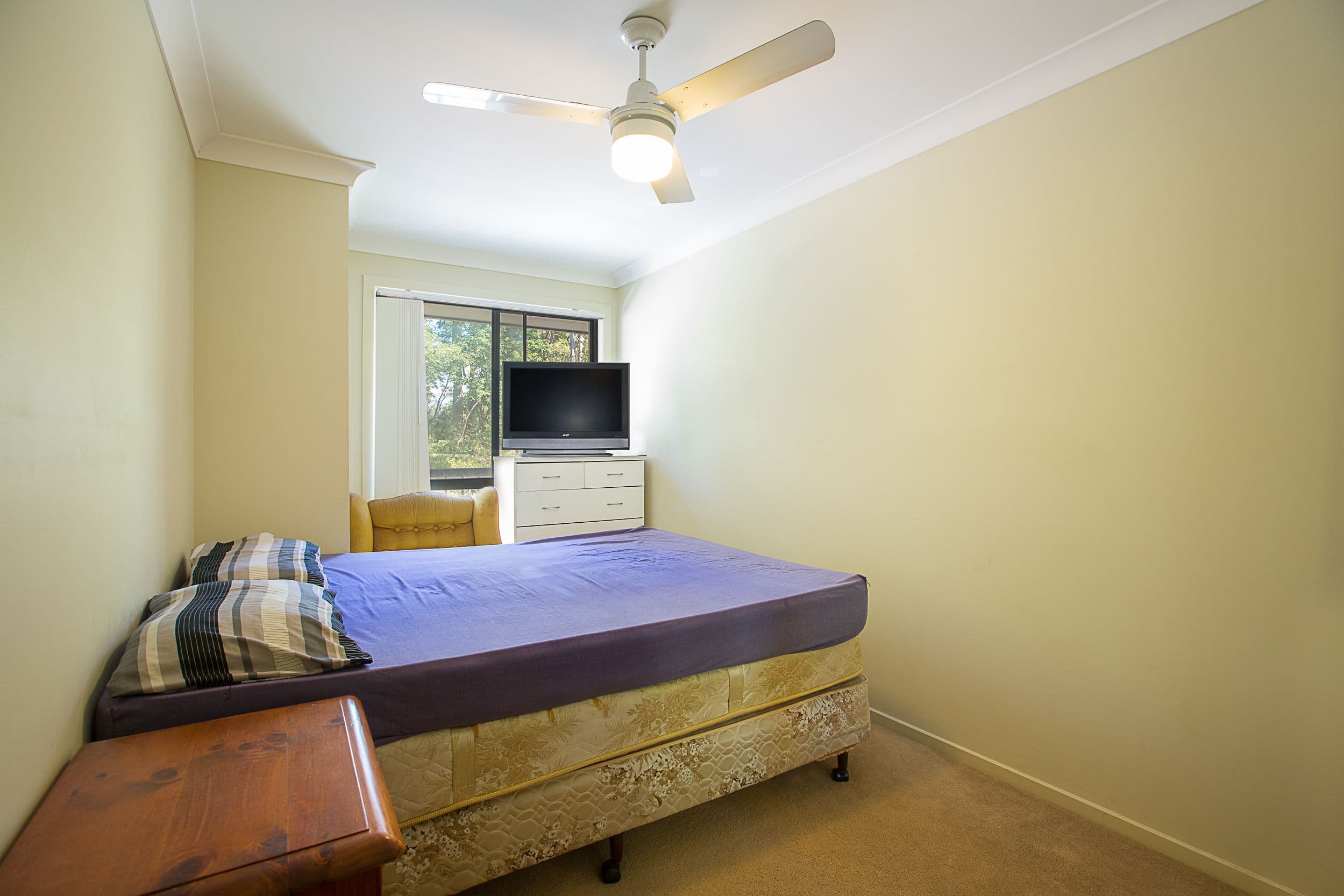 23 Seagreen Drive, Coomera QLD 4209, Coomera - Thumbnail 8